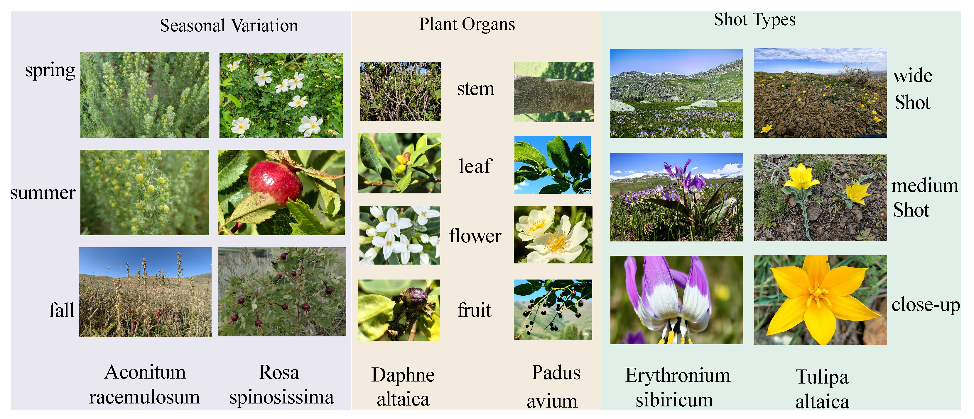 Sensors 25 05499 g005