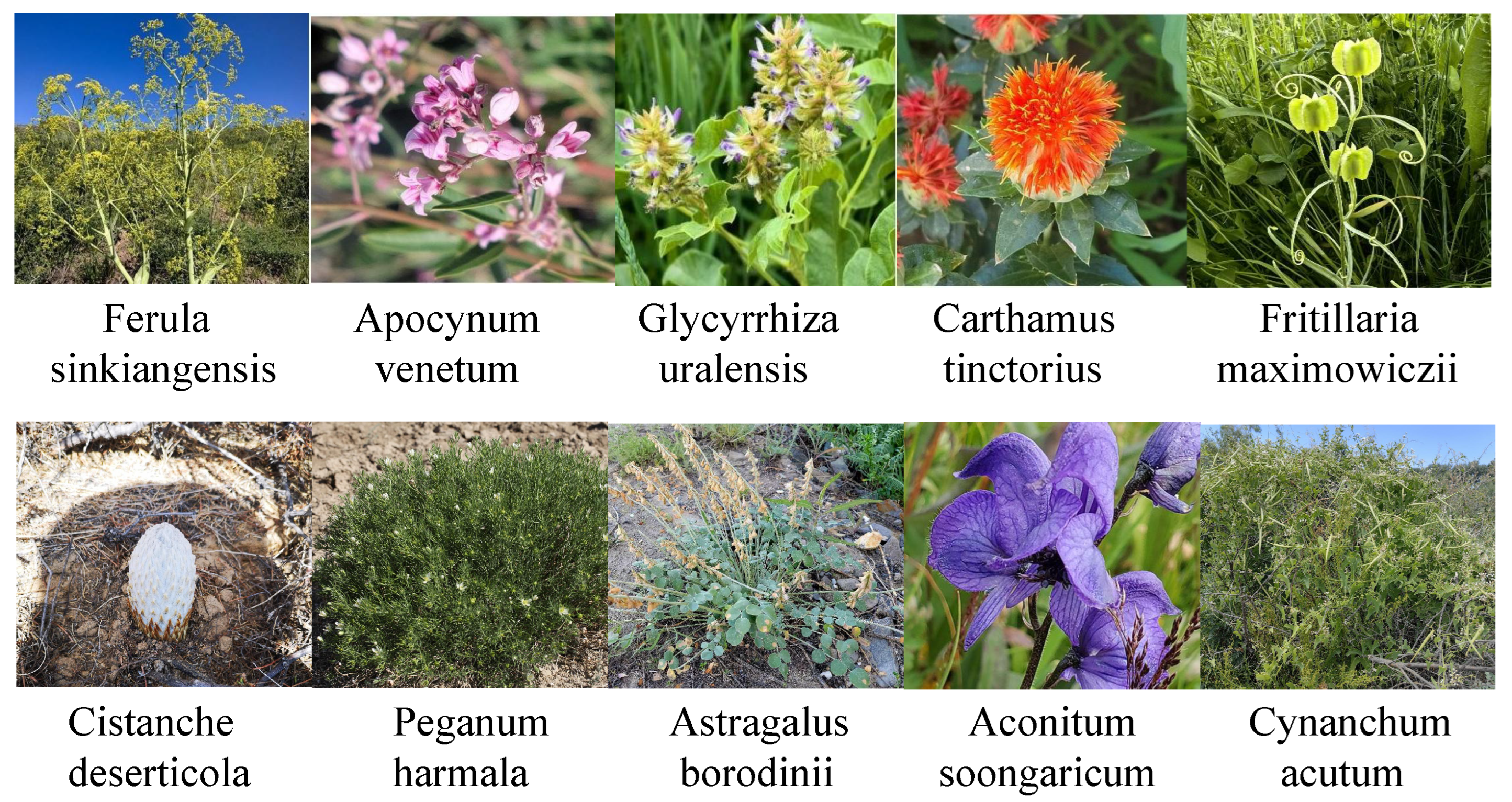 Sensors 25 05499 g006