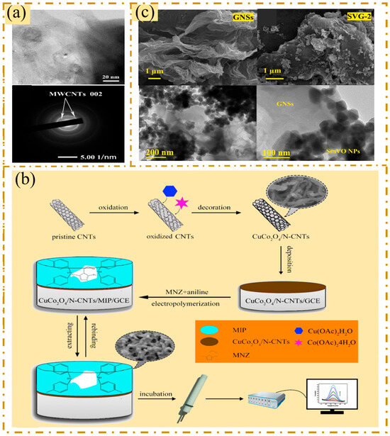 Sensors 25 05541 g001