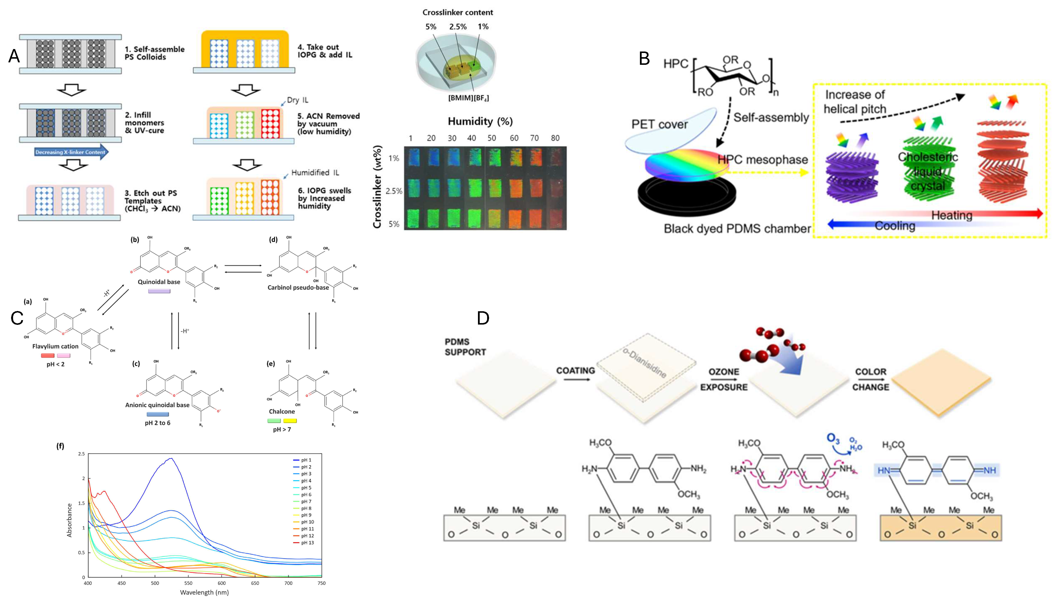 Sensors 25 05618 g004