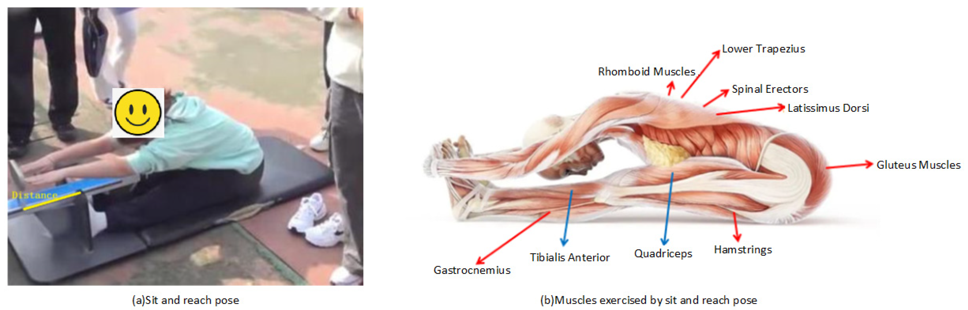 Sensors 25 05624 g001 Sensors 25 05624 g001