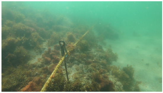 Sensors 25 05750 g014