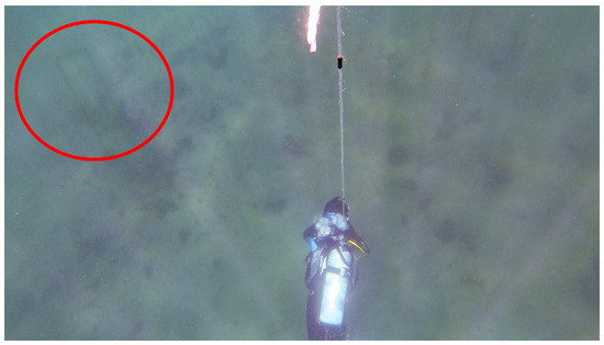 Sensors 25 05750 g015