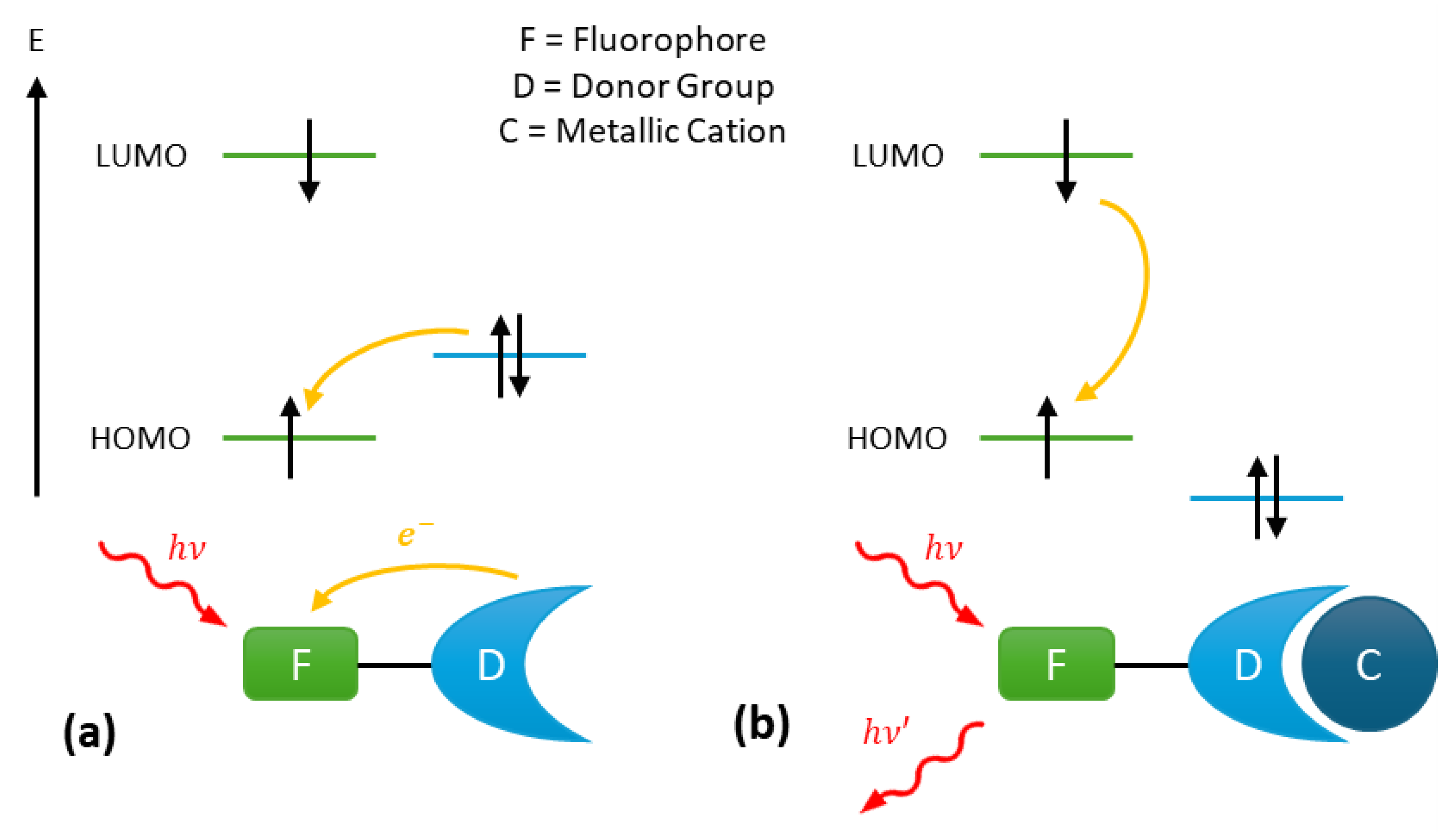 Sensors 25 05835 g001 Sensors 25 05835 g001