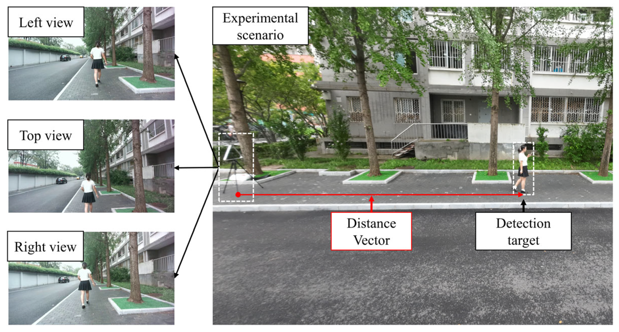 Sensors 25 05970 g006