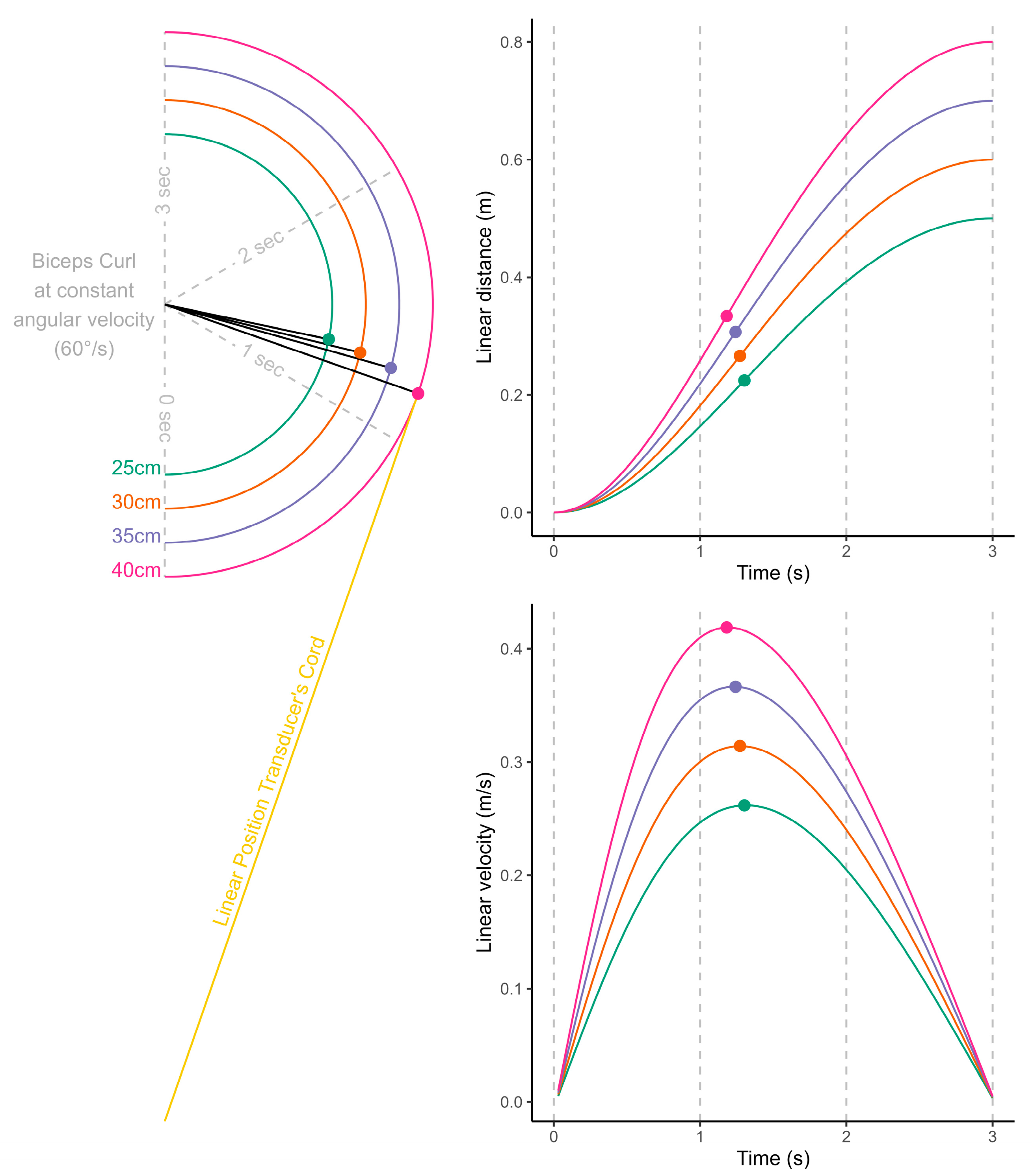 Sensors 25 05987 g002