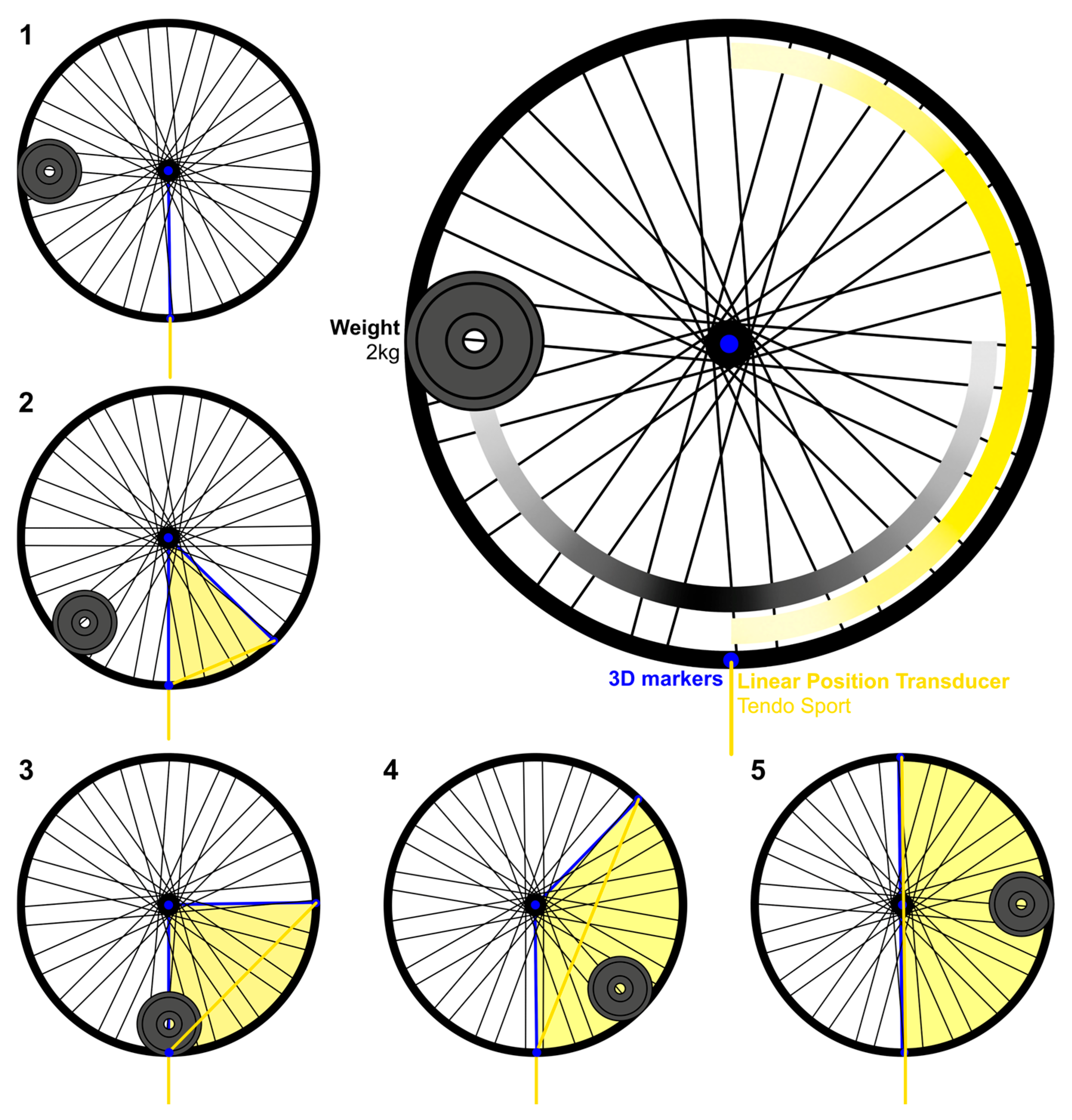 Sensors 25 05987 g004