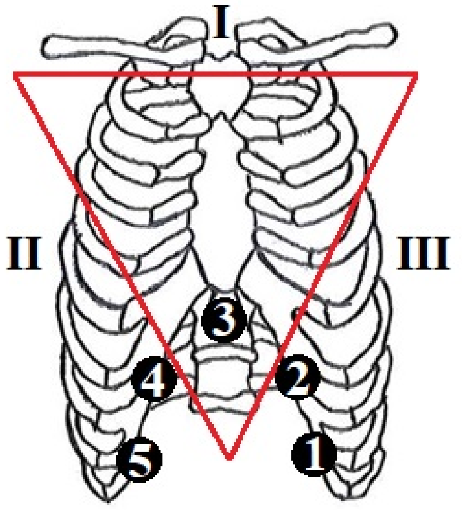 Sensors 25 06000 g001