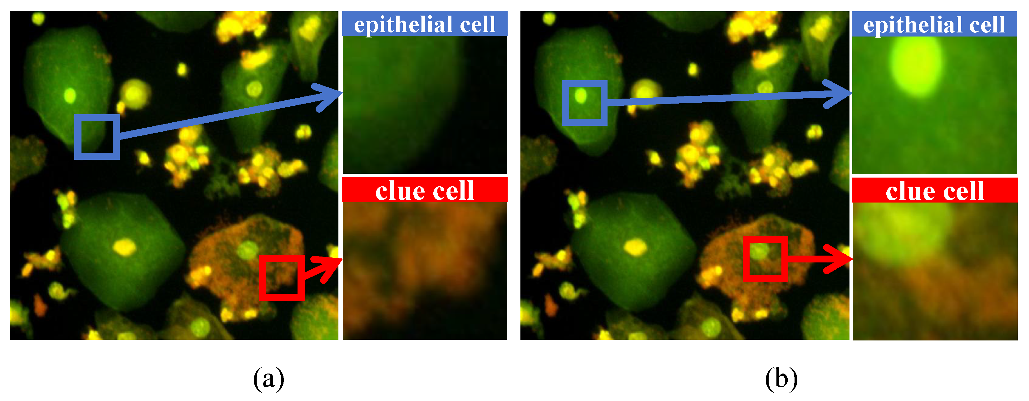 Sensors 25 06001 g001