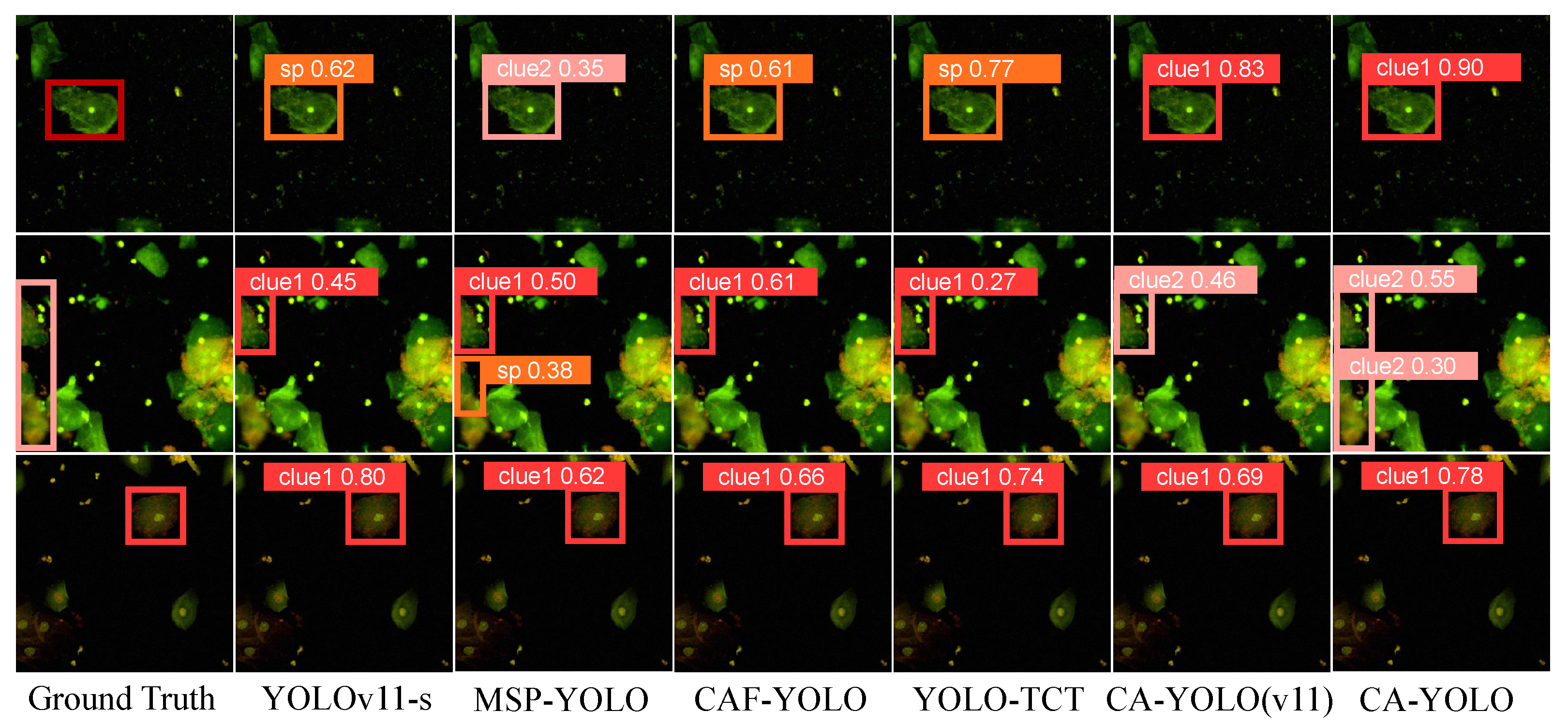 Sensors 25 06001 g008