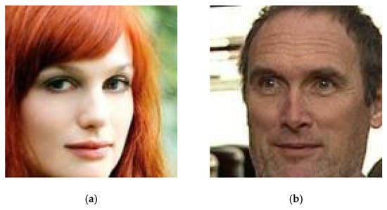 Sensors 25 06015 g005