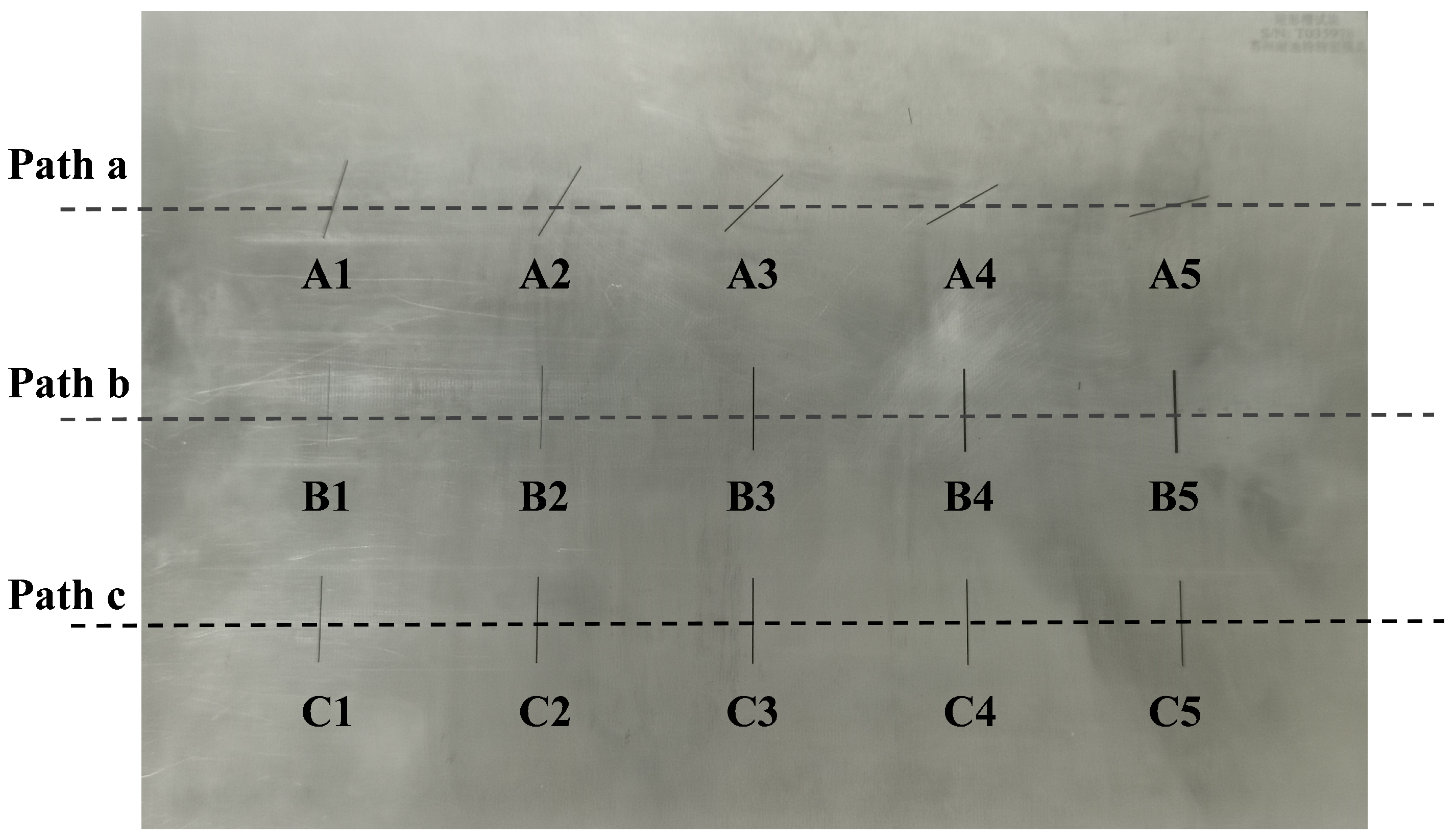 Sensors 25 06100 g012