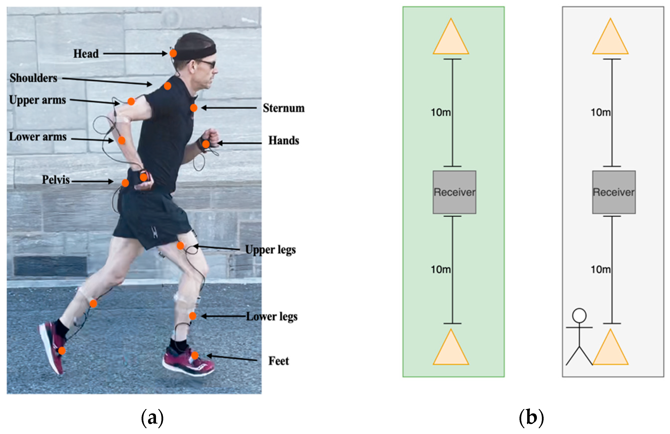 Sensors 25 06203 g001 Sensors 25 06203 g001