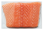 Sensors 25 06299 i004