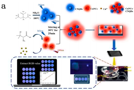 Sensors 25 06321 g006a