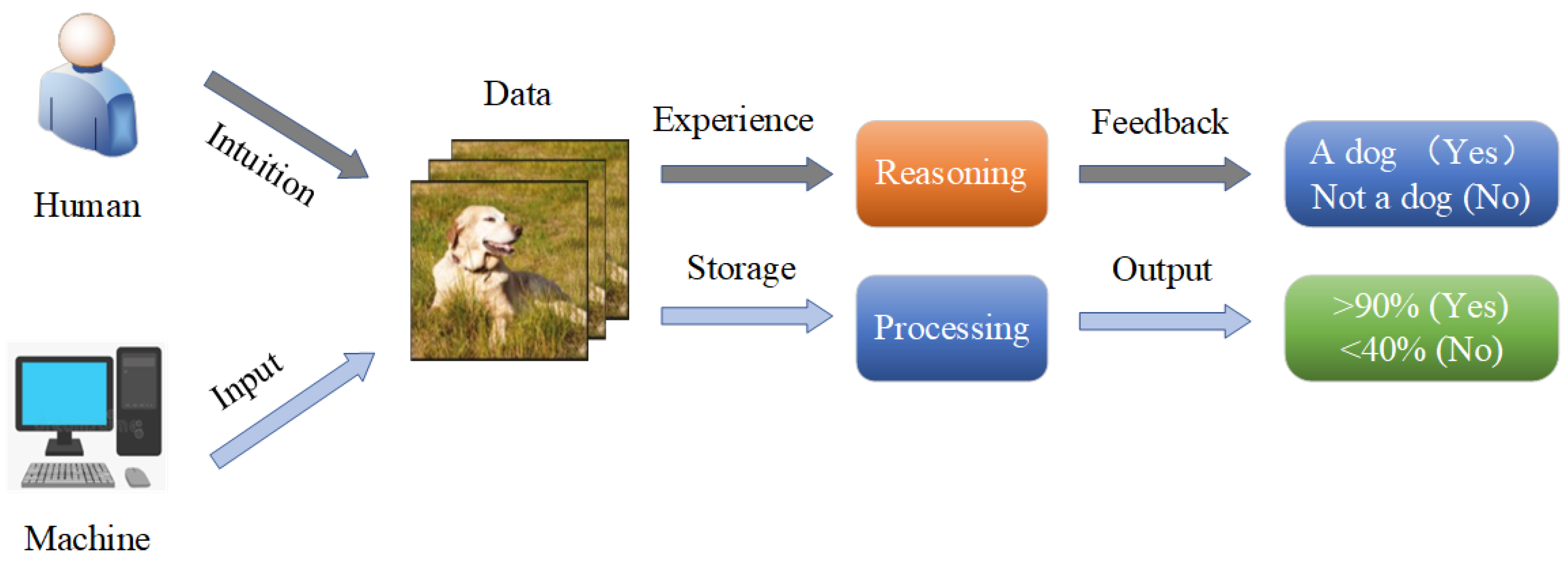 Sensors 25 06505 g001 Sensors 25 06505 g001