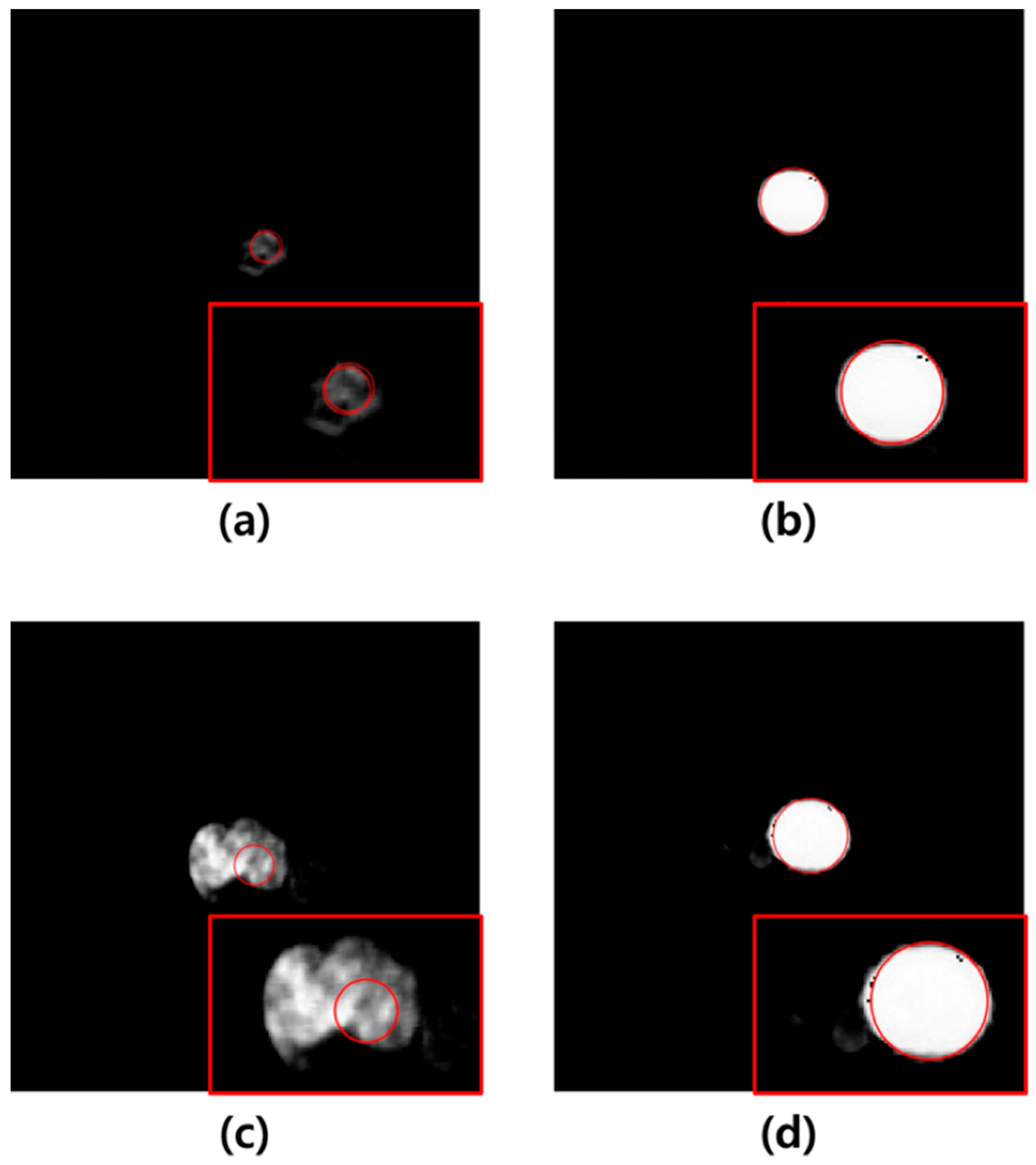 Sensors 25 06509 g005