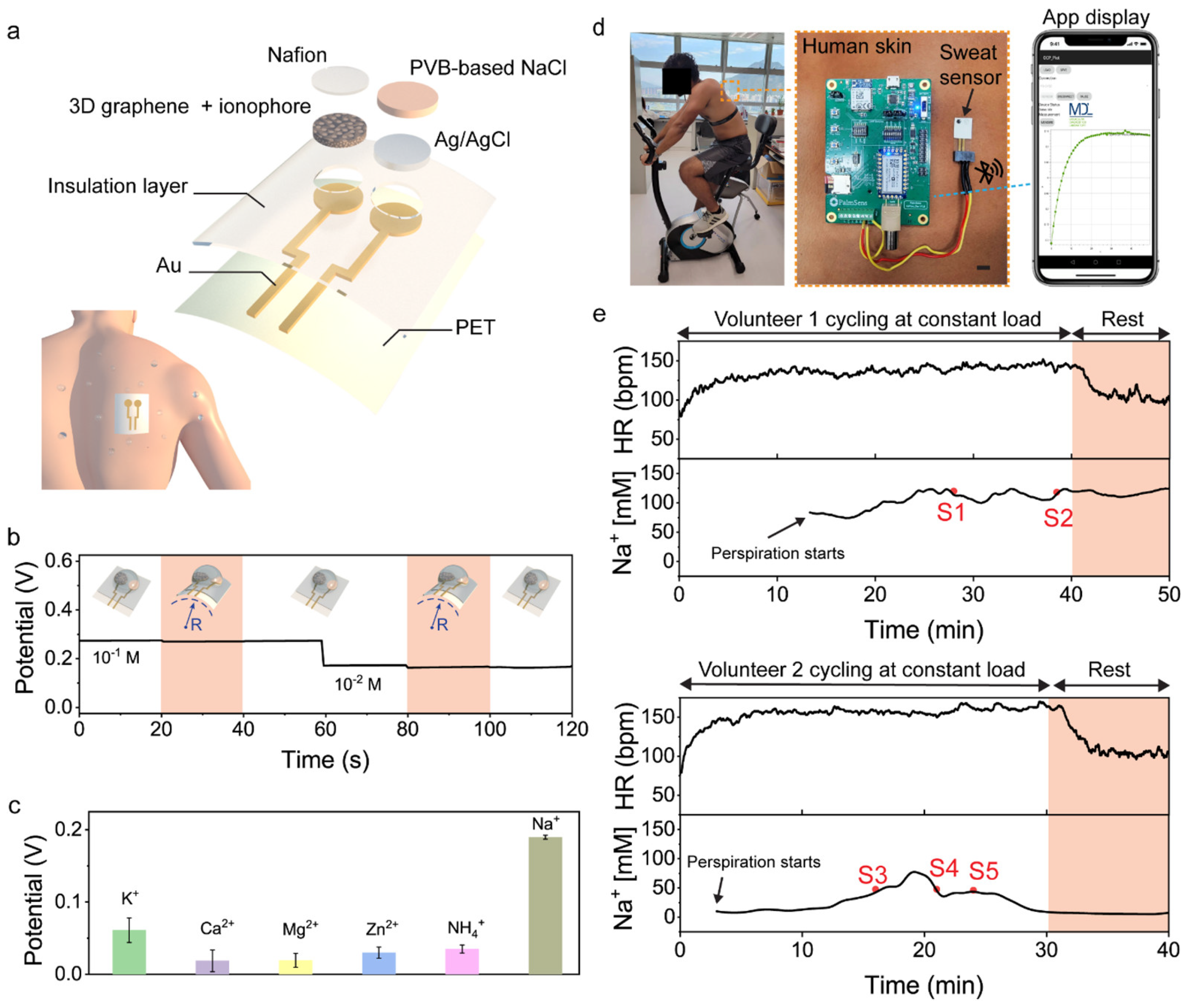 Sensors 25 06553 g005