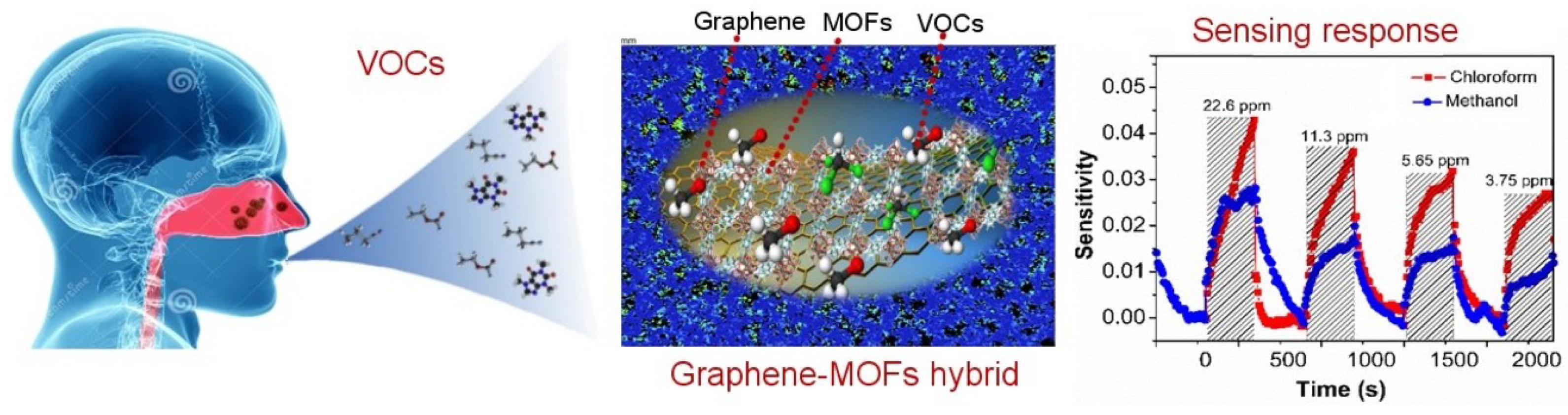 Sensors 25 06553 g016