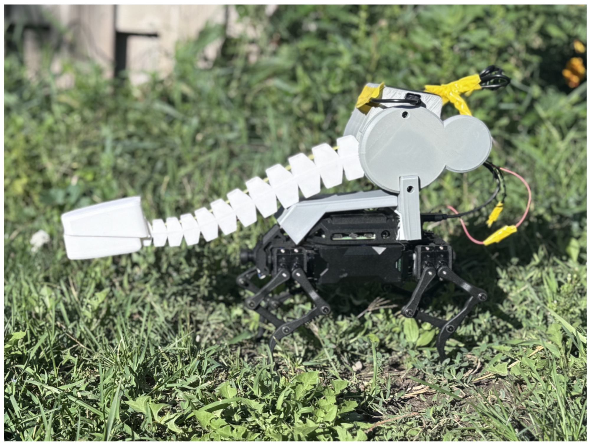 Sensors 25 06569 g001 Sensors 25 06569 g001