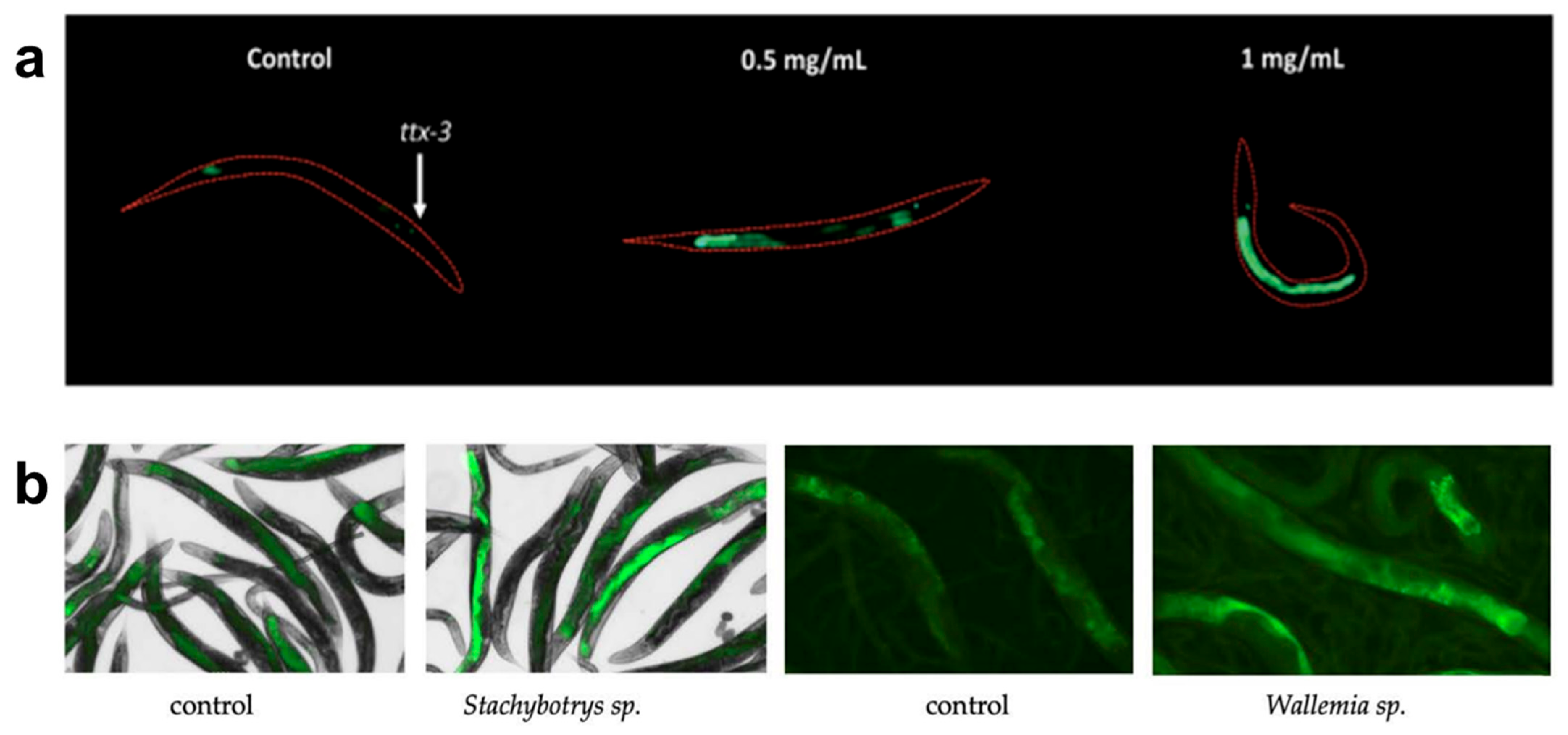 Sensors 25 06570 g001 Sensors 25 06570 g001