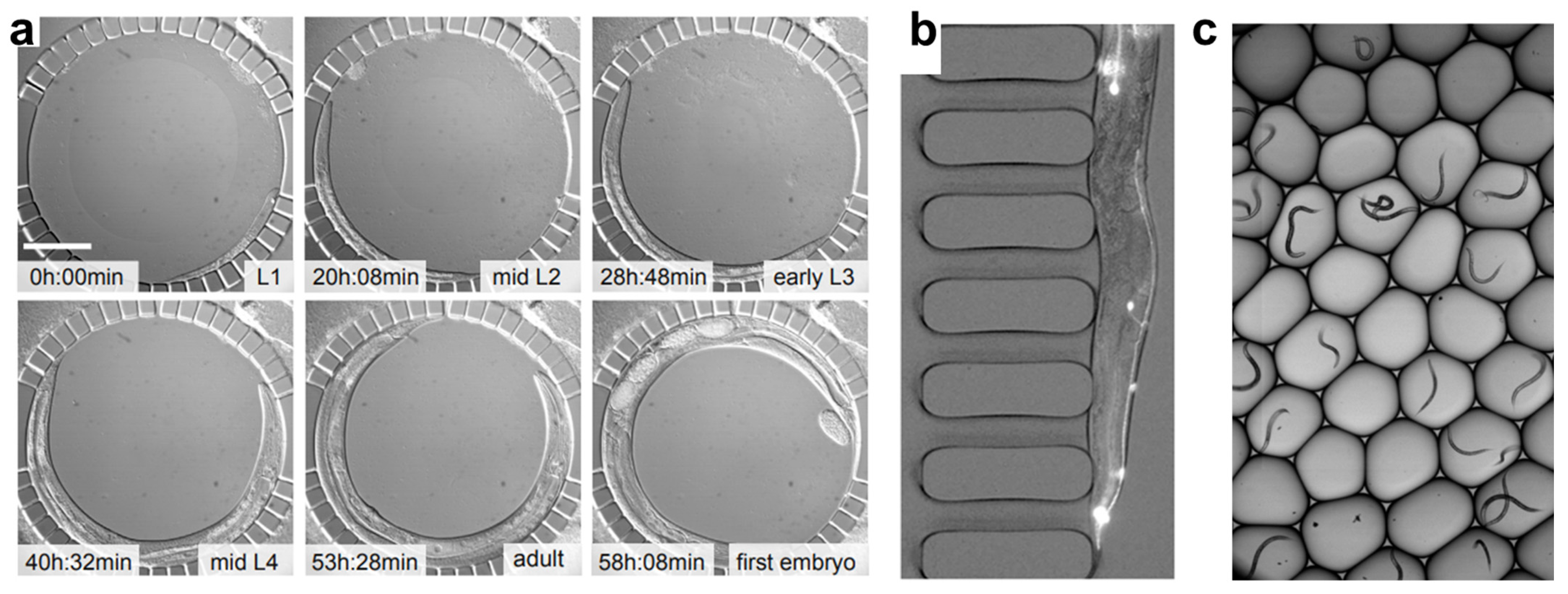 Sensors 25 06570 g002 Sensors 25 06570 g002