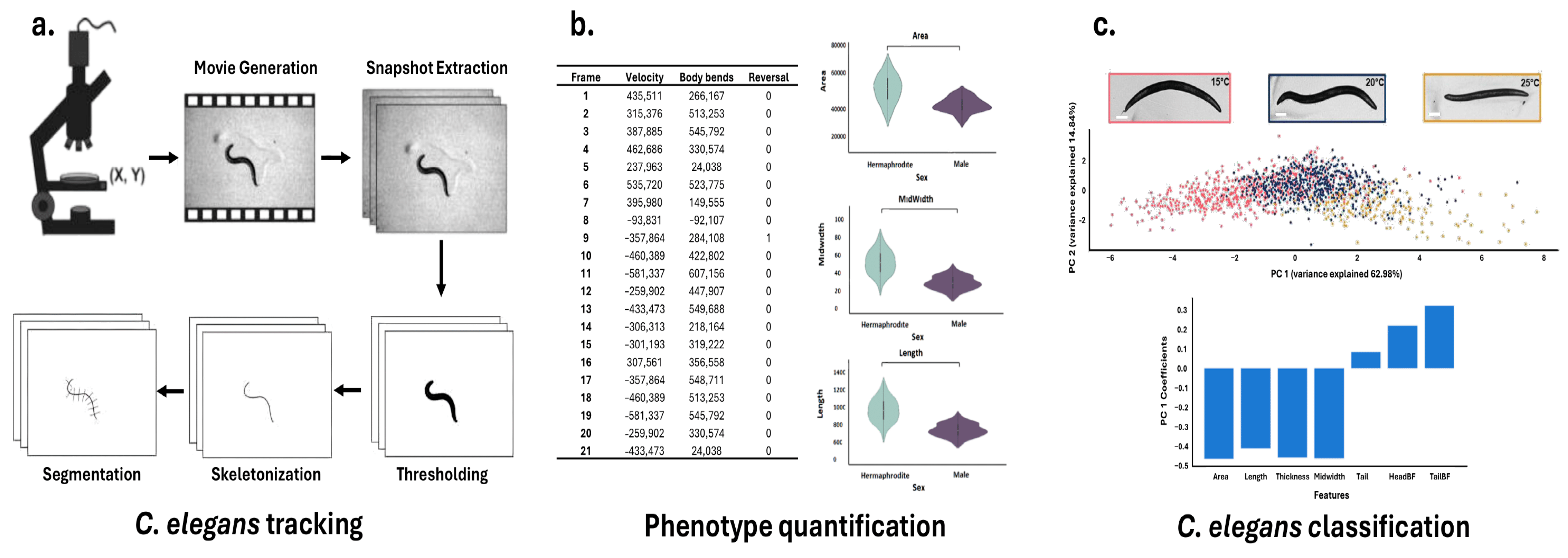 Sensors 25 06570 g003 Sensors 25 06570 g003