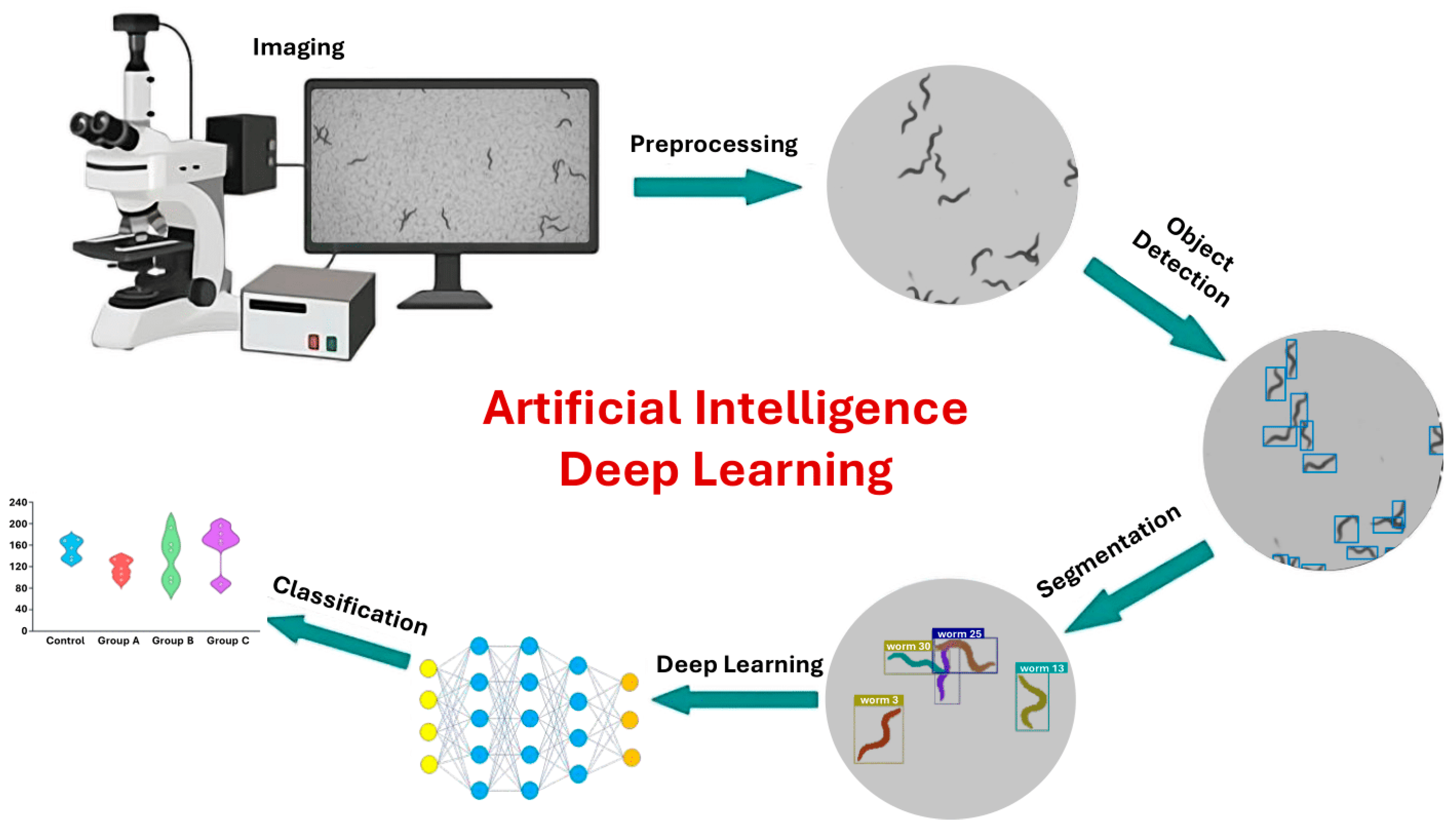 Sensors 25 06570 g004 Sensors 25 06570 g004