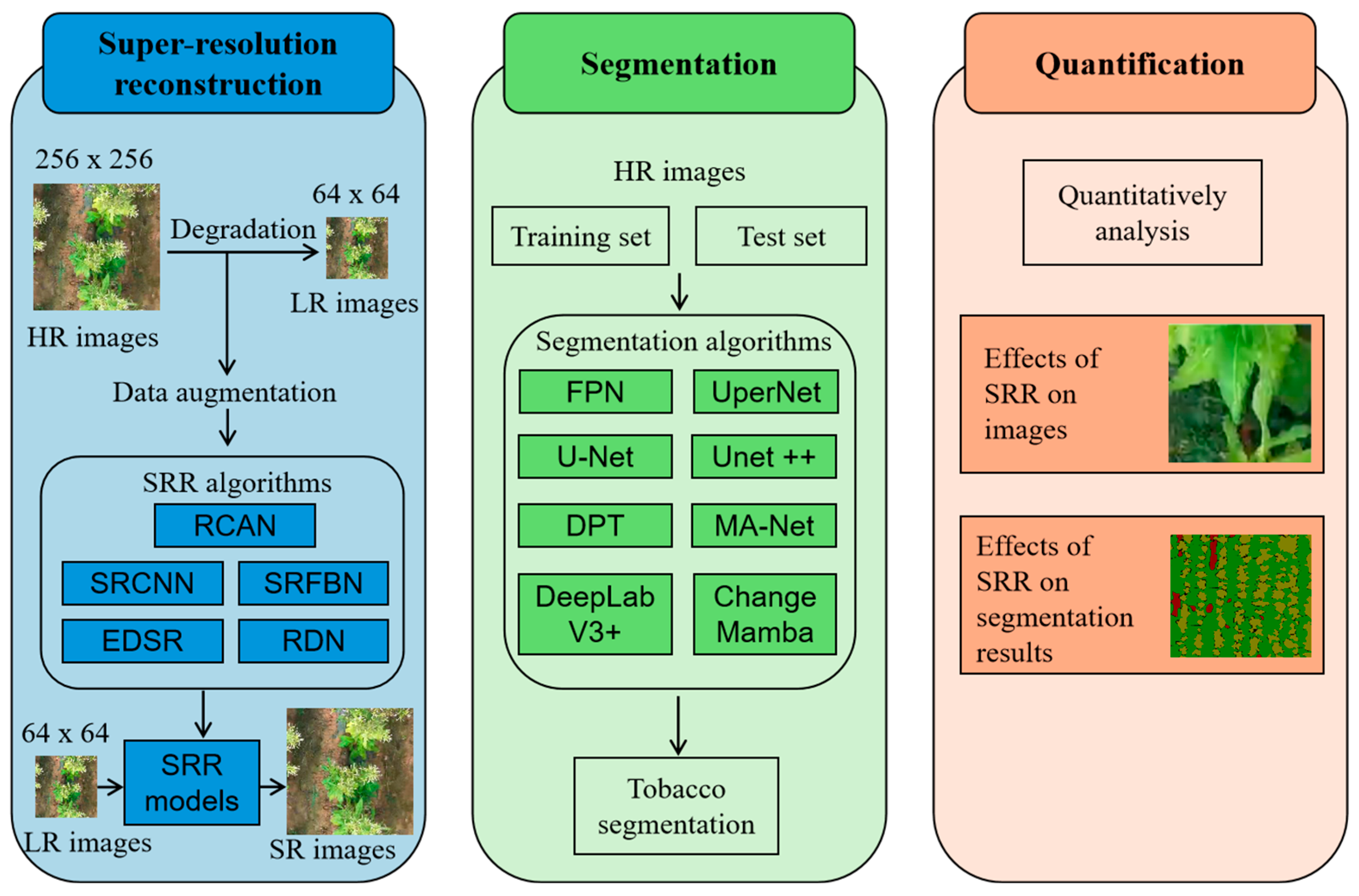 Sensors 25 06576 g001 Sensors 25 06576 g001