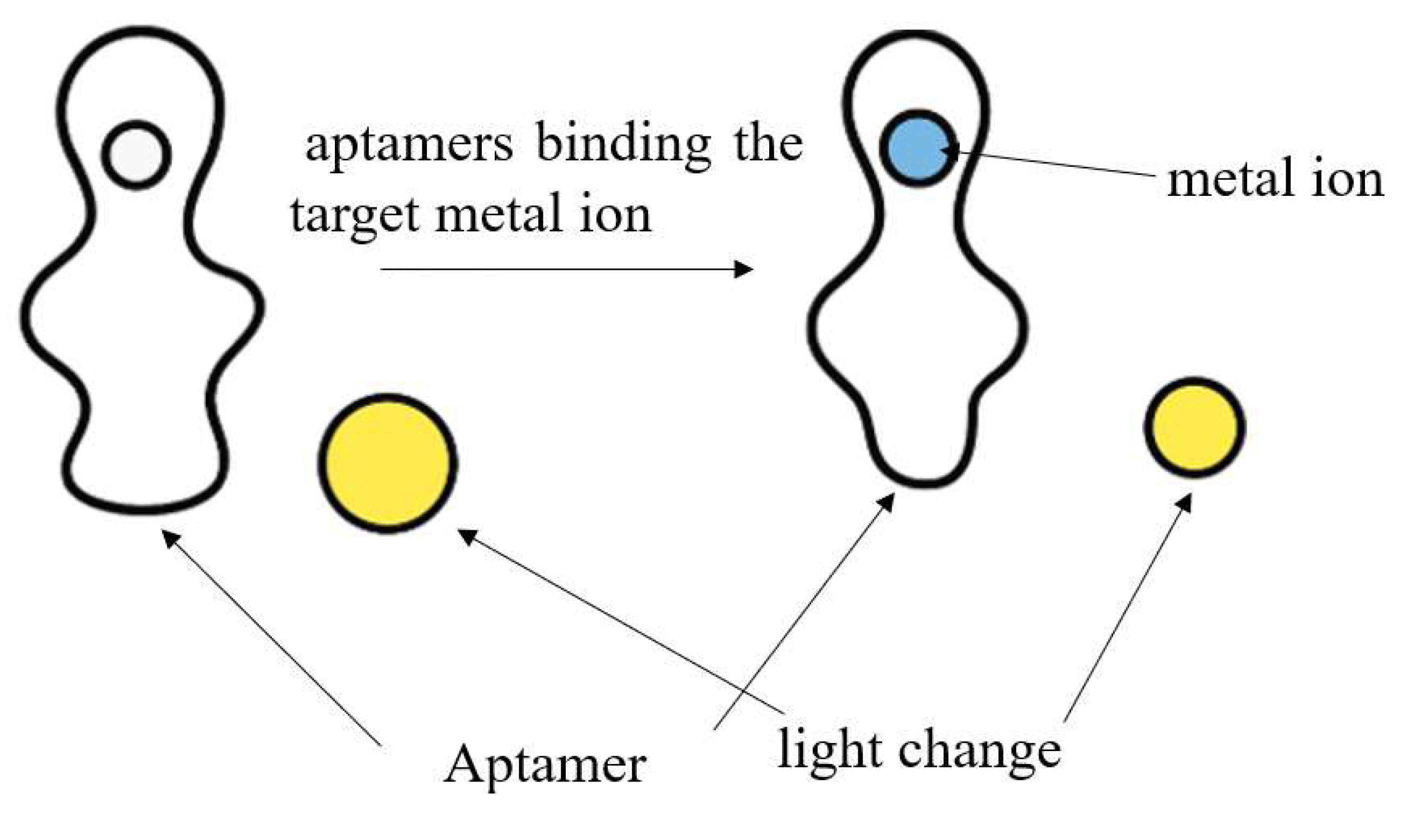 Sensors 25 06591 g004