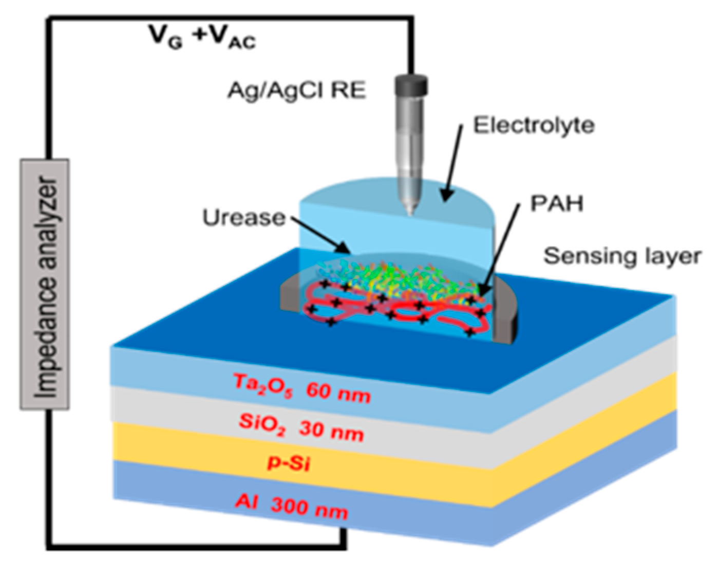Sensors 25 06596 g003