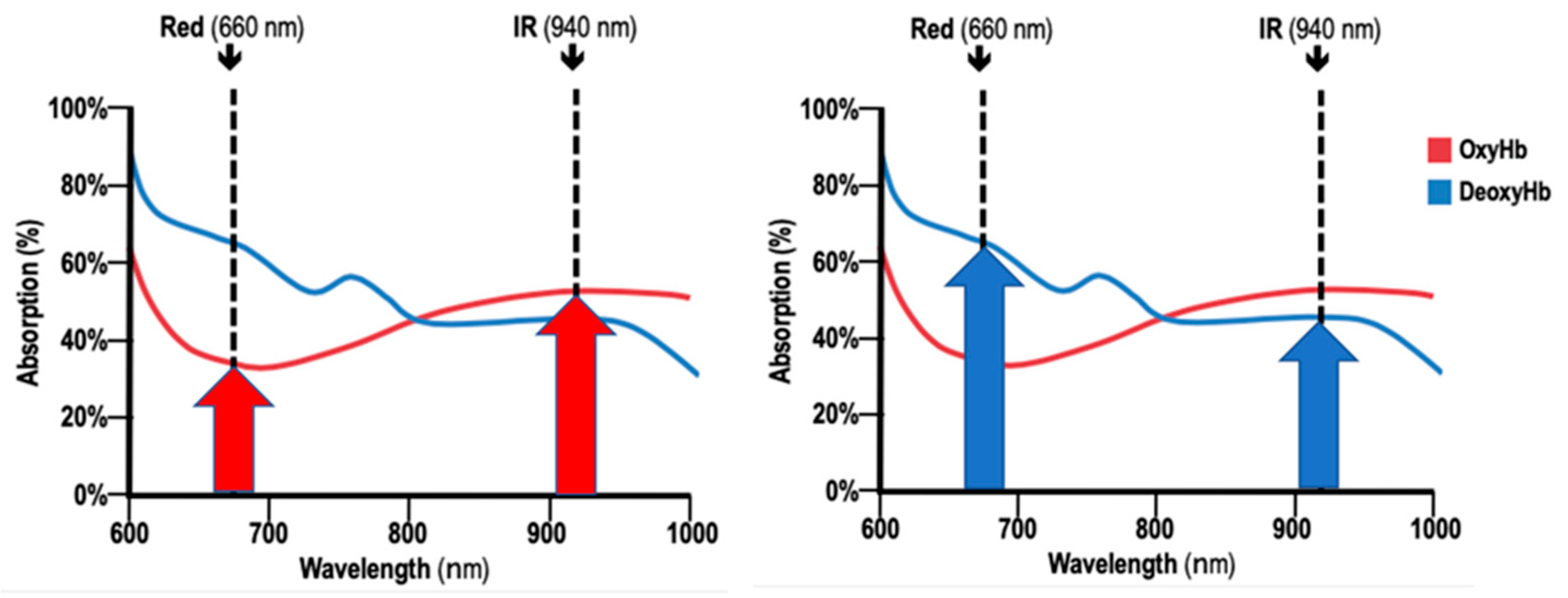 Sensors 25 06604 g001 Sensors 25 06604 g001