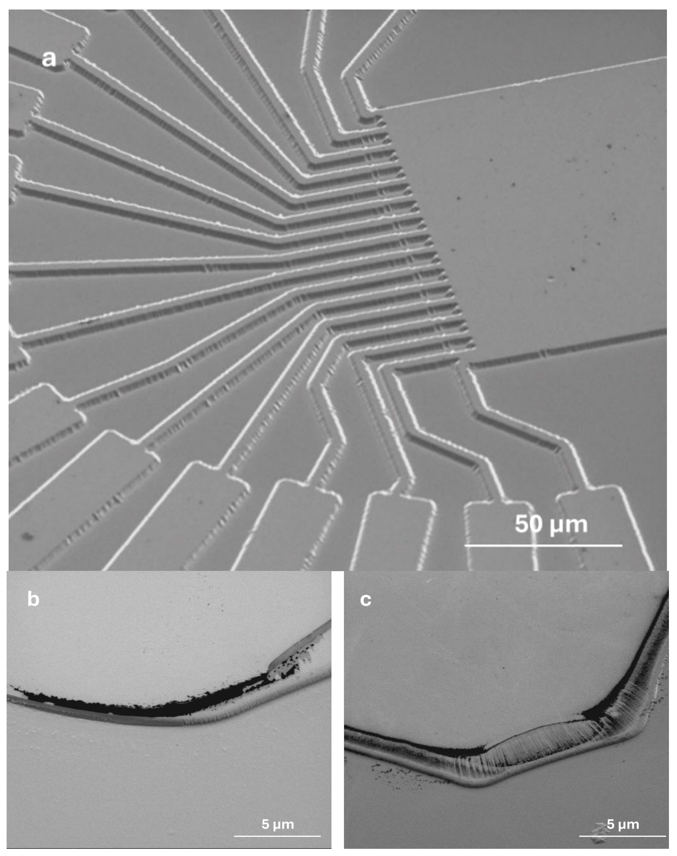 Sensors 25 06609 g006