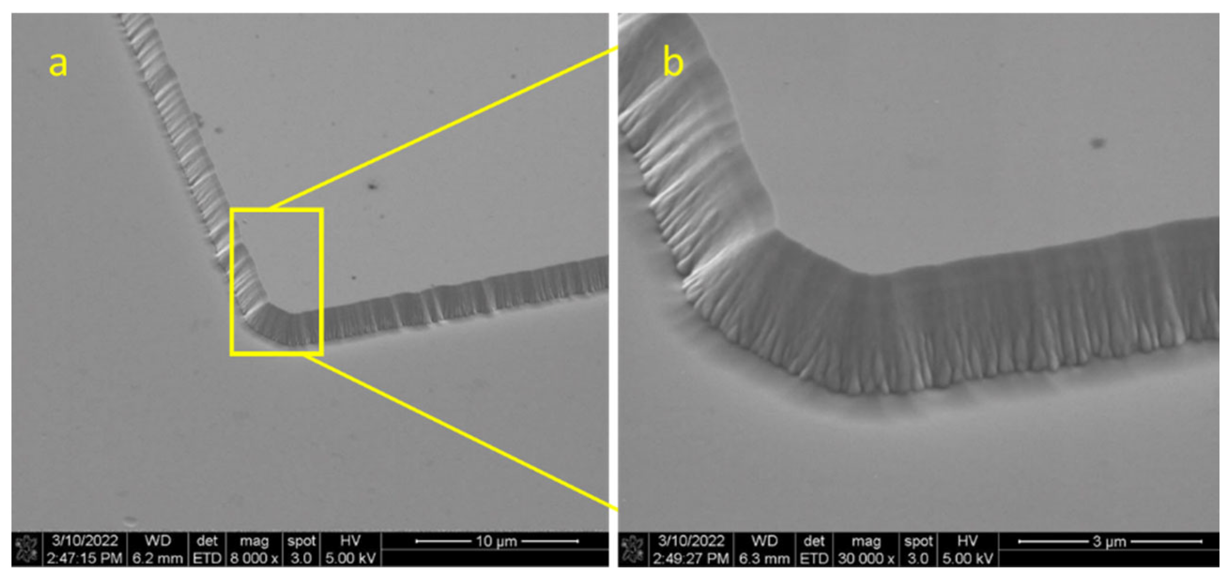 Sensors 25 06609 g007