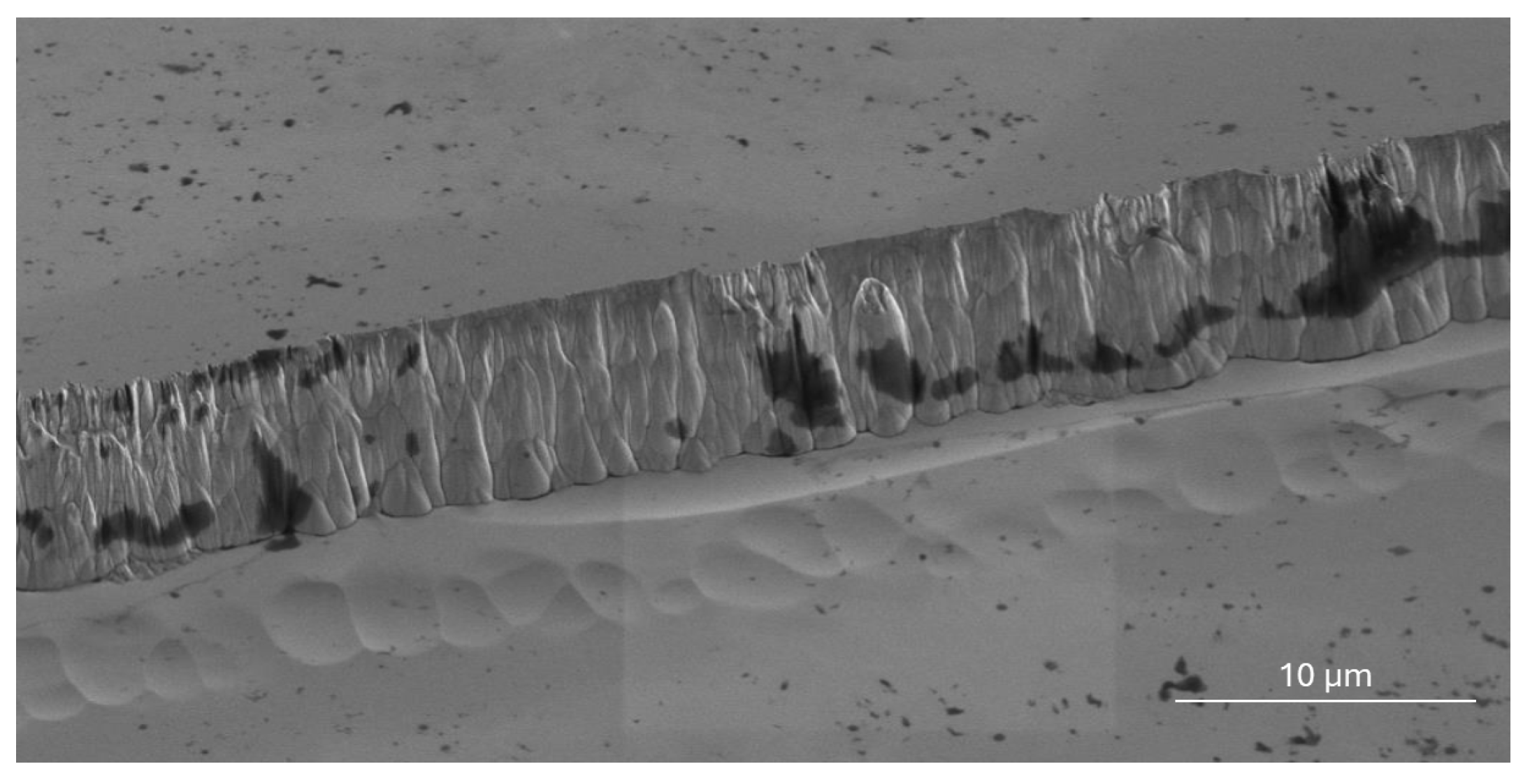 Sensors 25 06609 g008