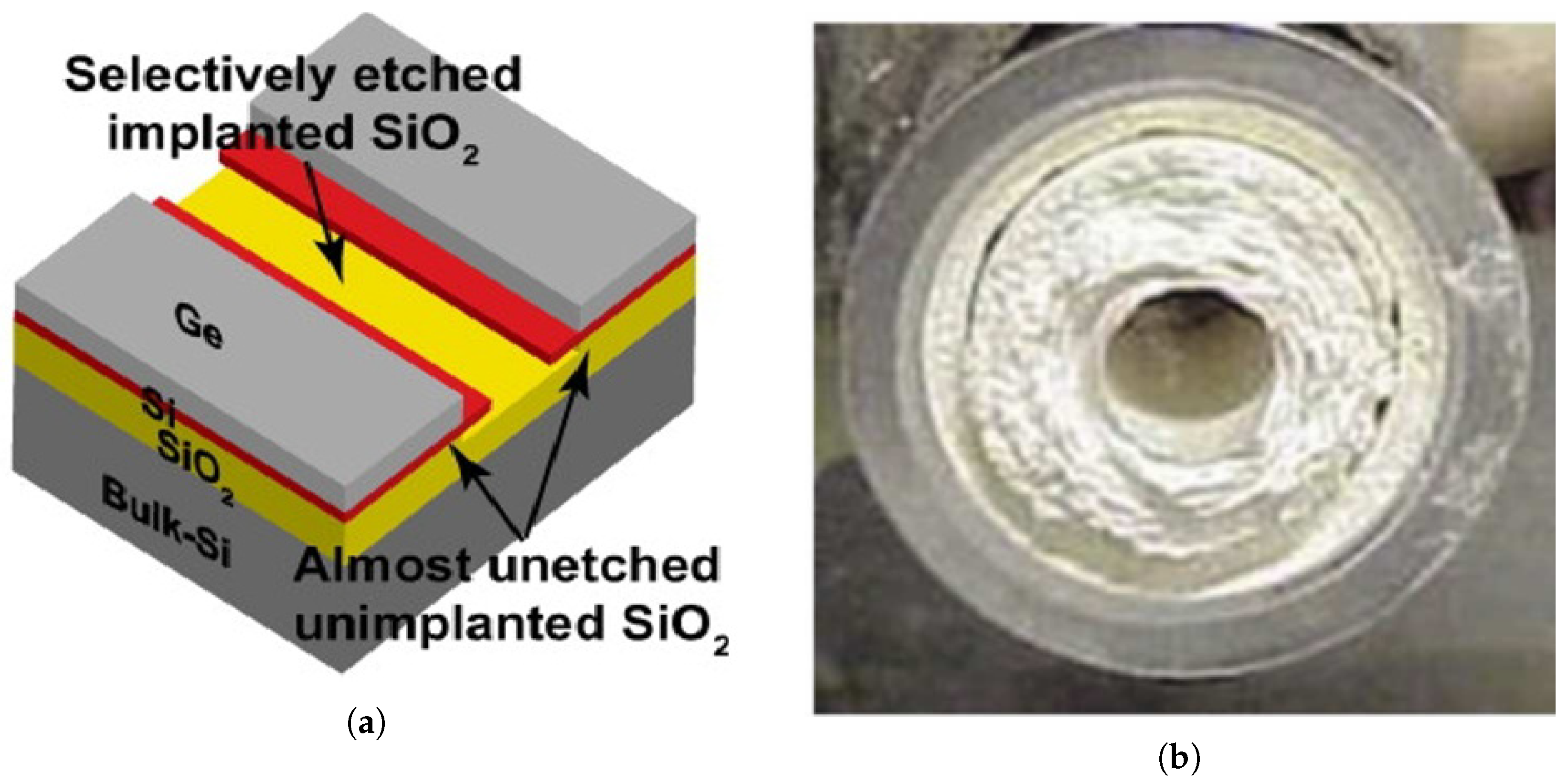 Sensors 25 06618 g005