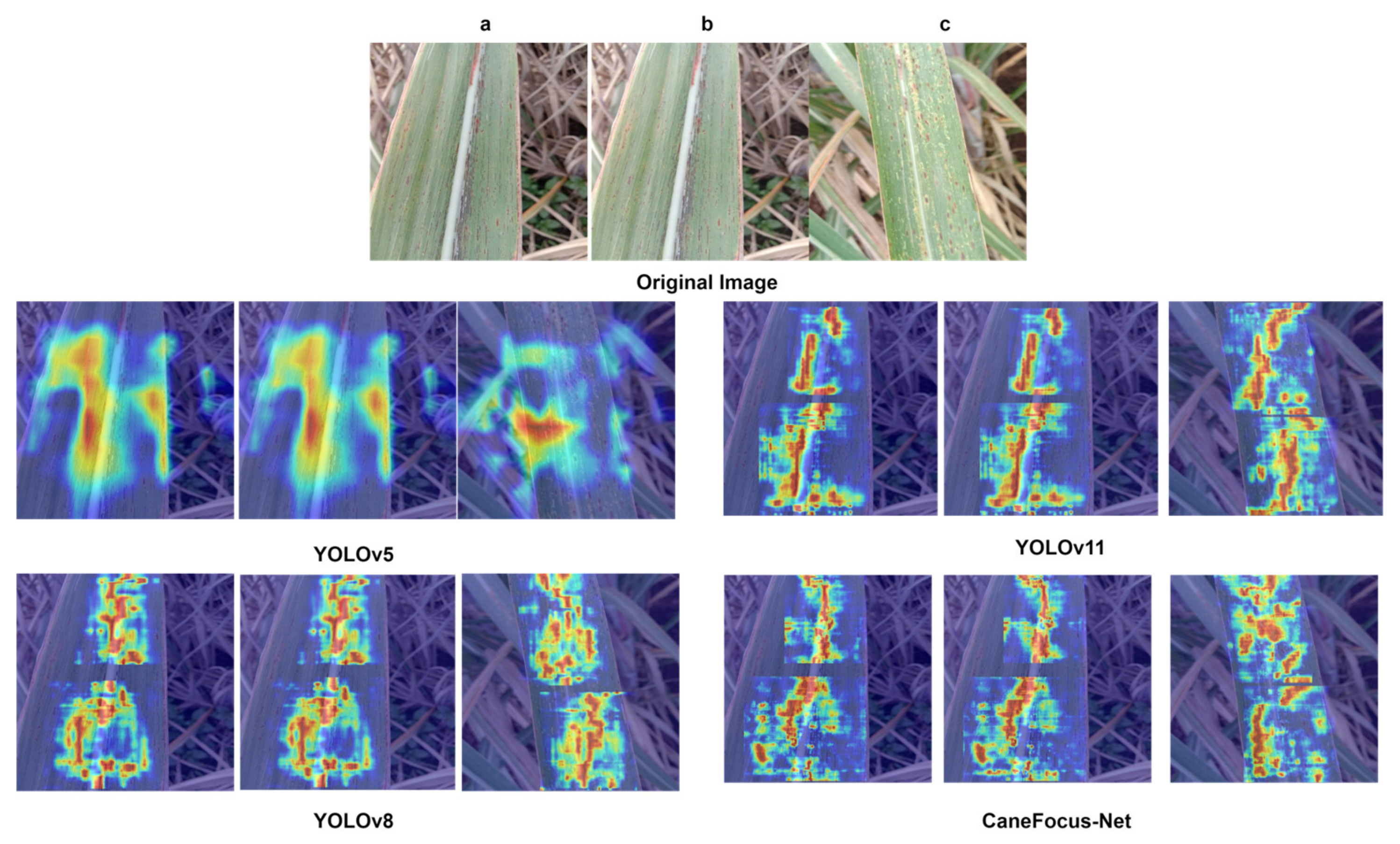 Sensors 25 06628 g009
