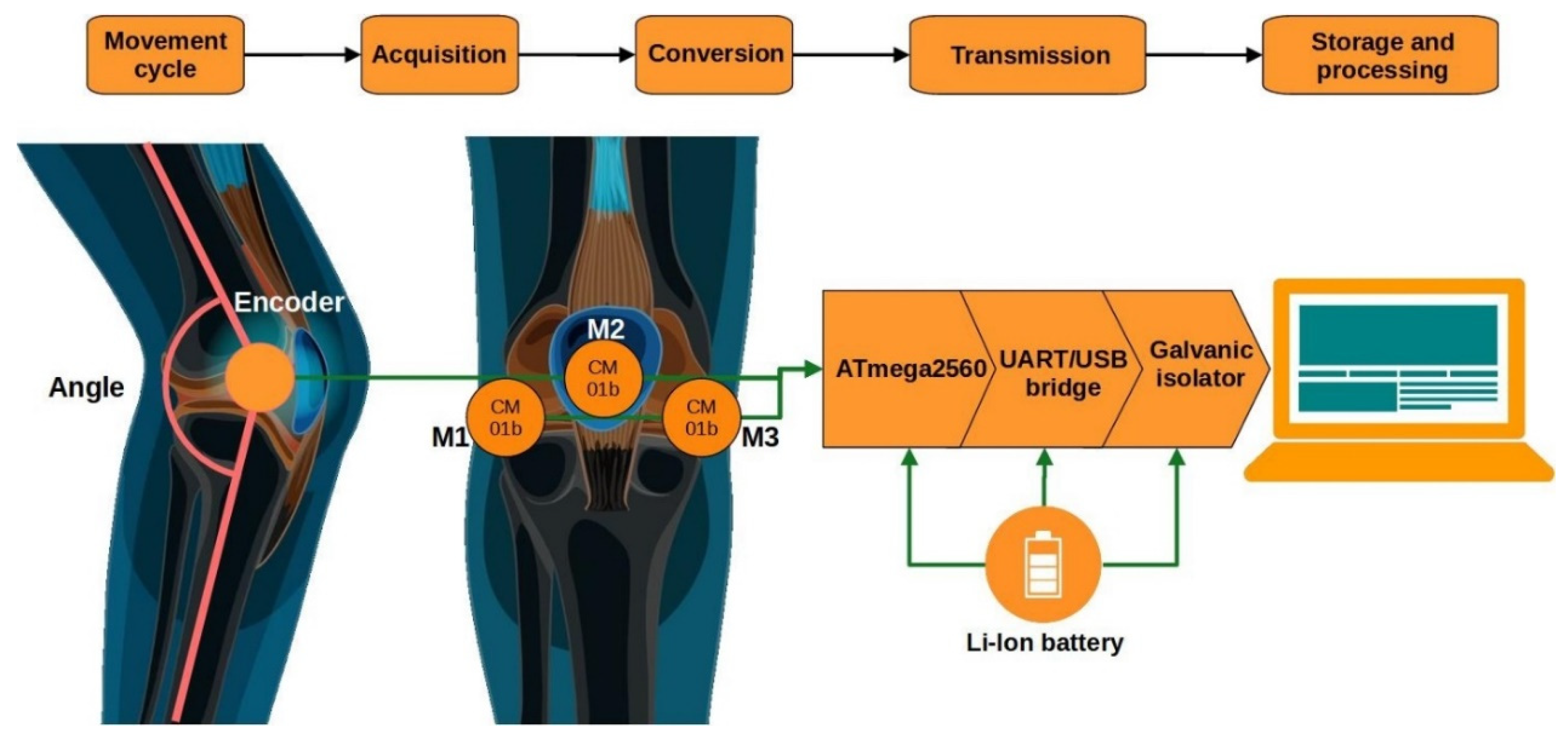 Sensors 25 06638 g001 Sensors 25 06638 g001
