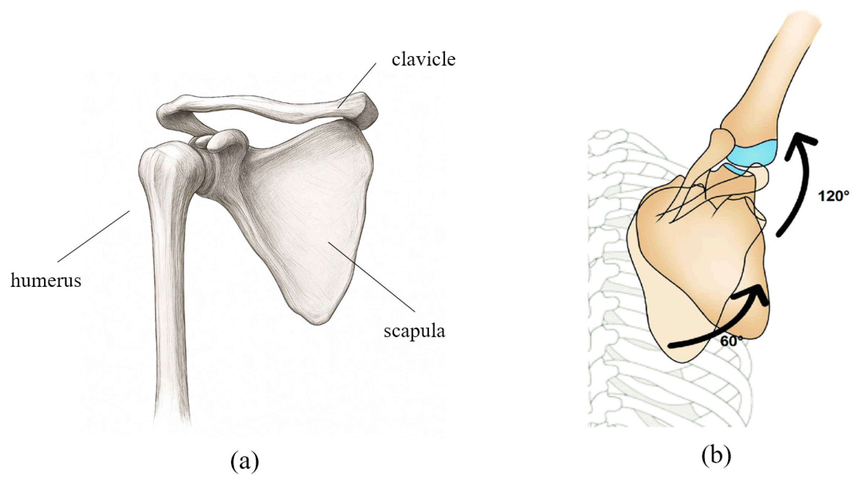 Sensors 25 06644 g001