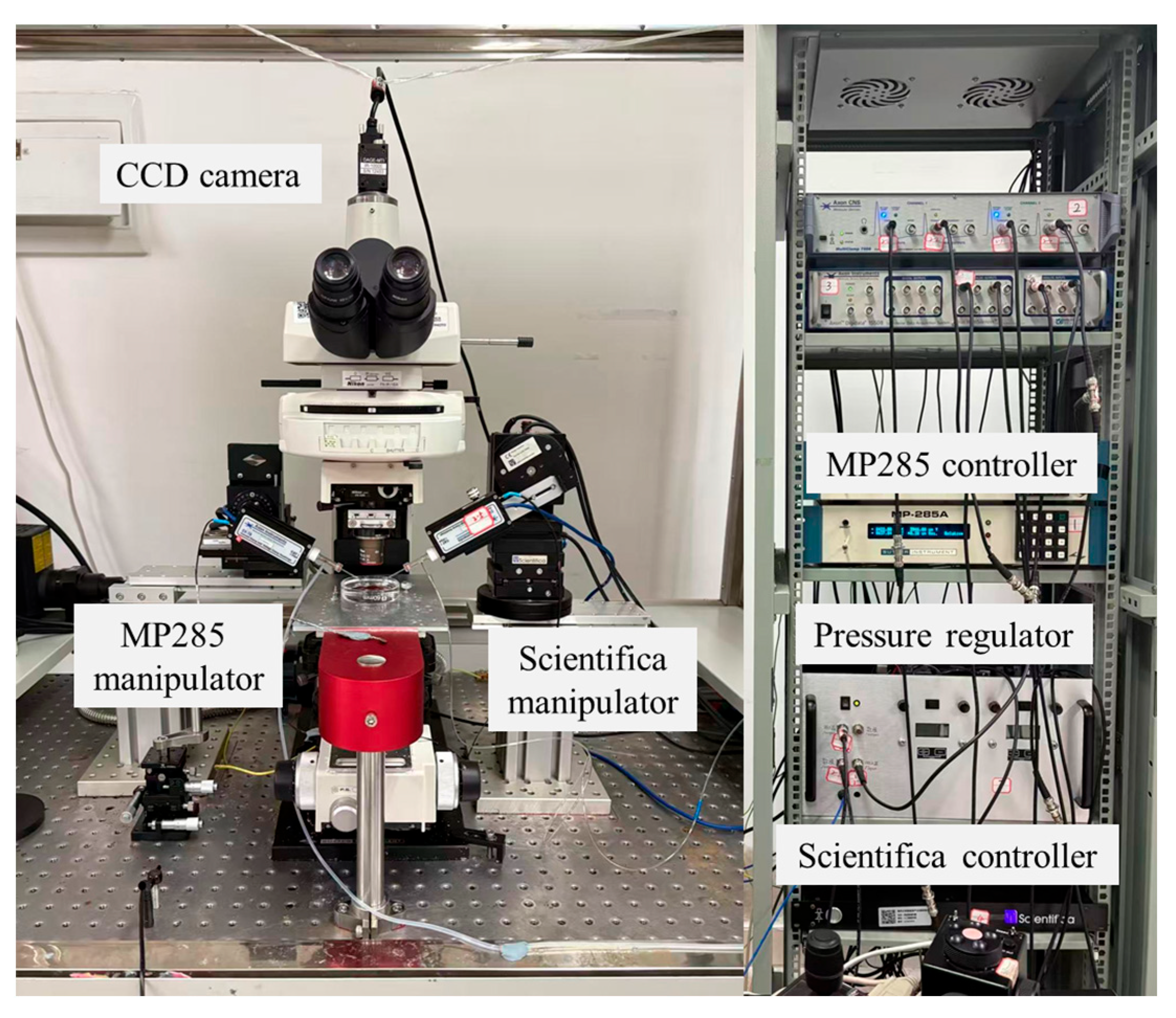 Sensors 25 06647 g001