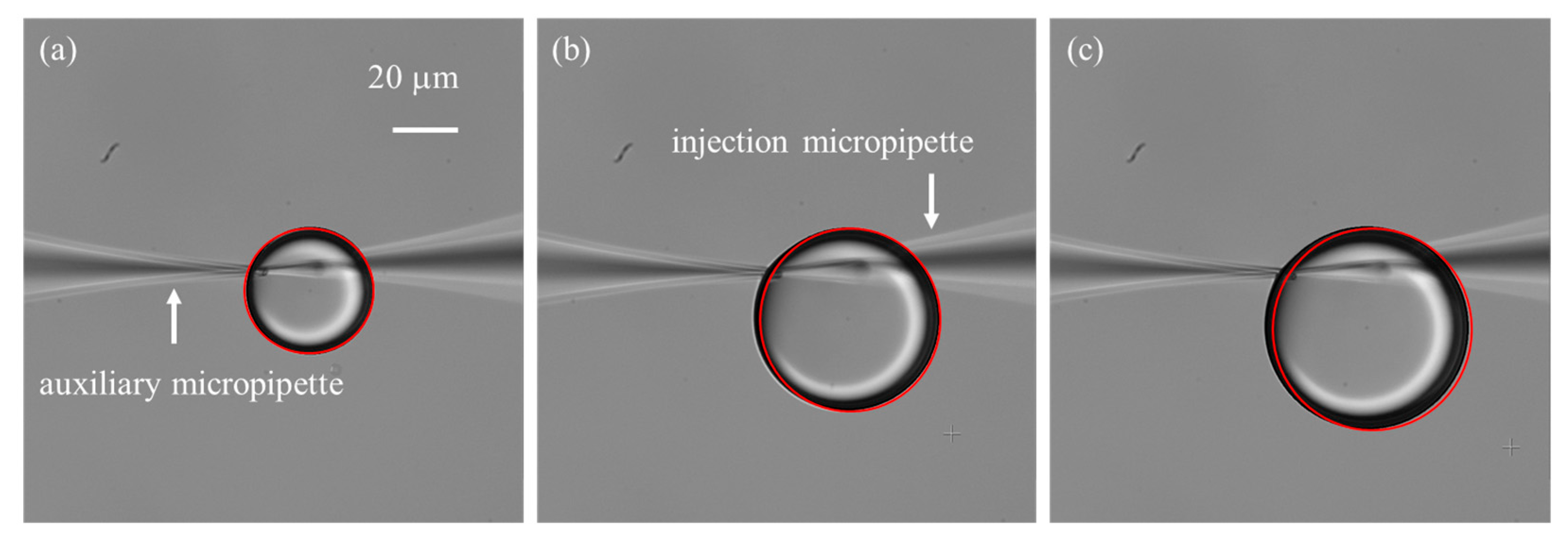 Sensors 25 06647 g007