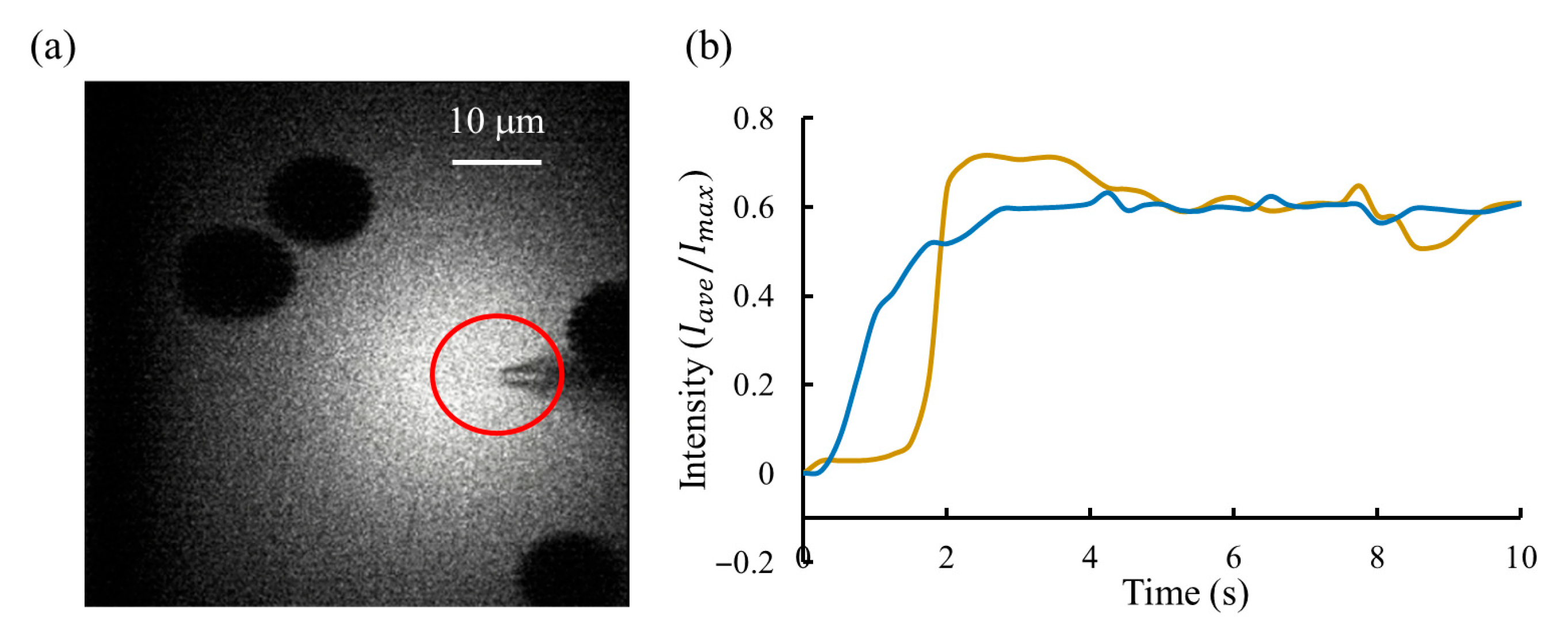 Sensors 25 06647 g011