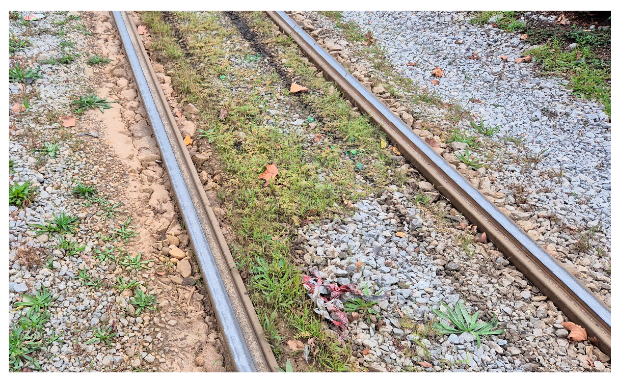 Sensors 25 06679 g019