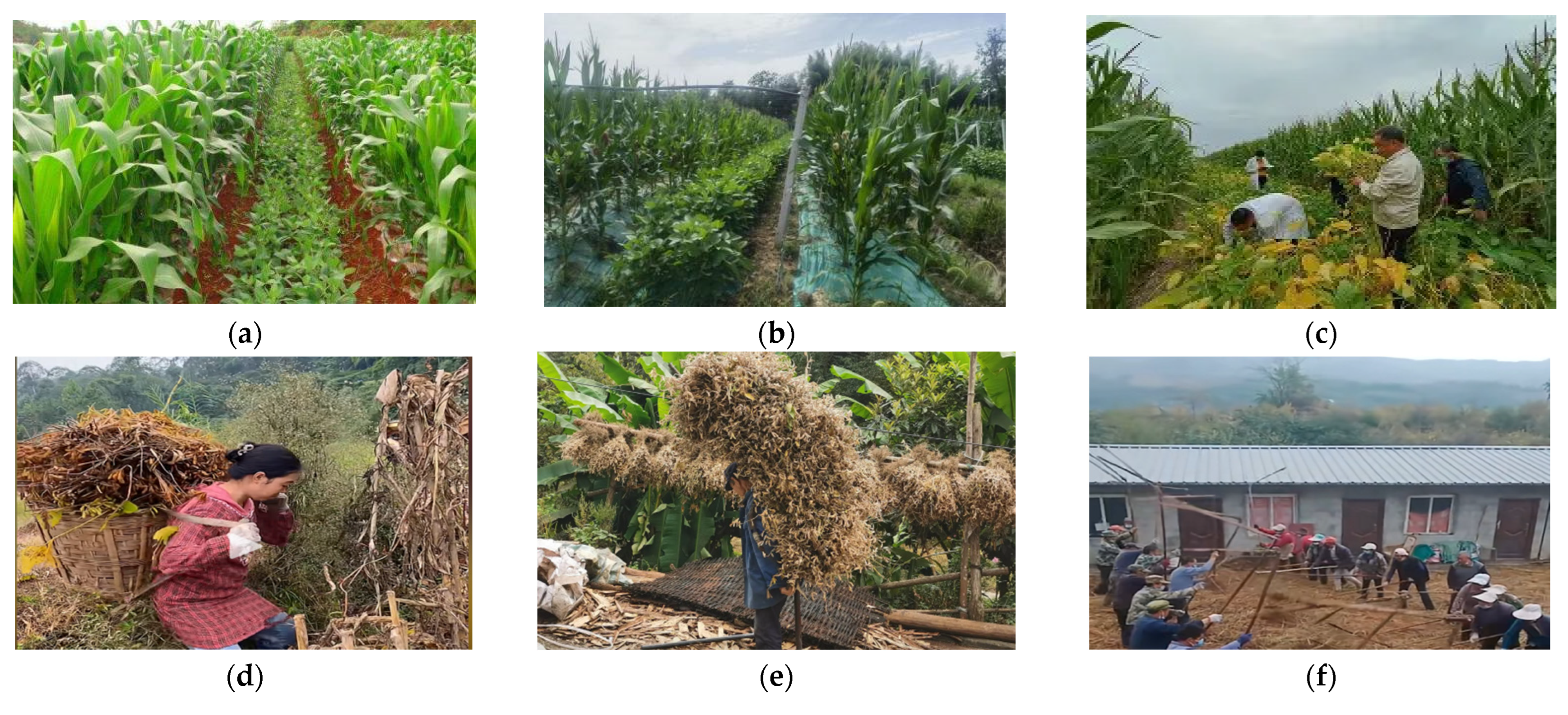 Sensors 25 06695 g001