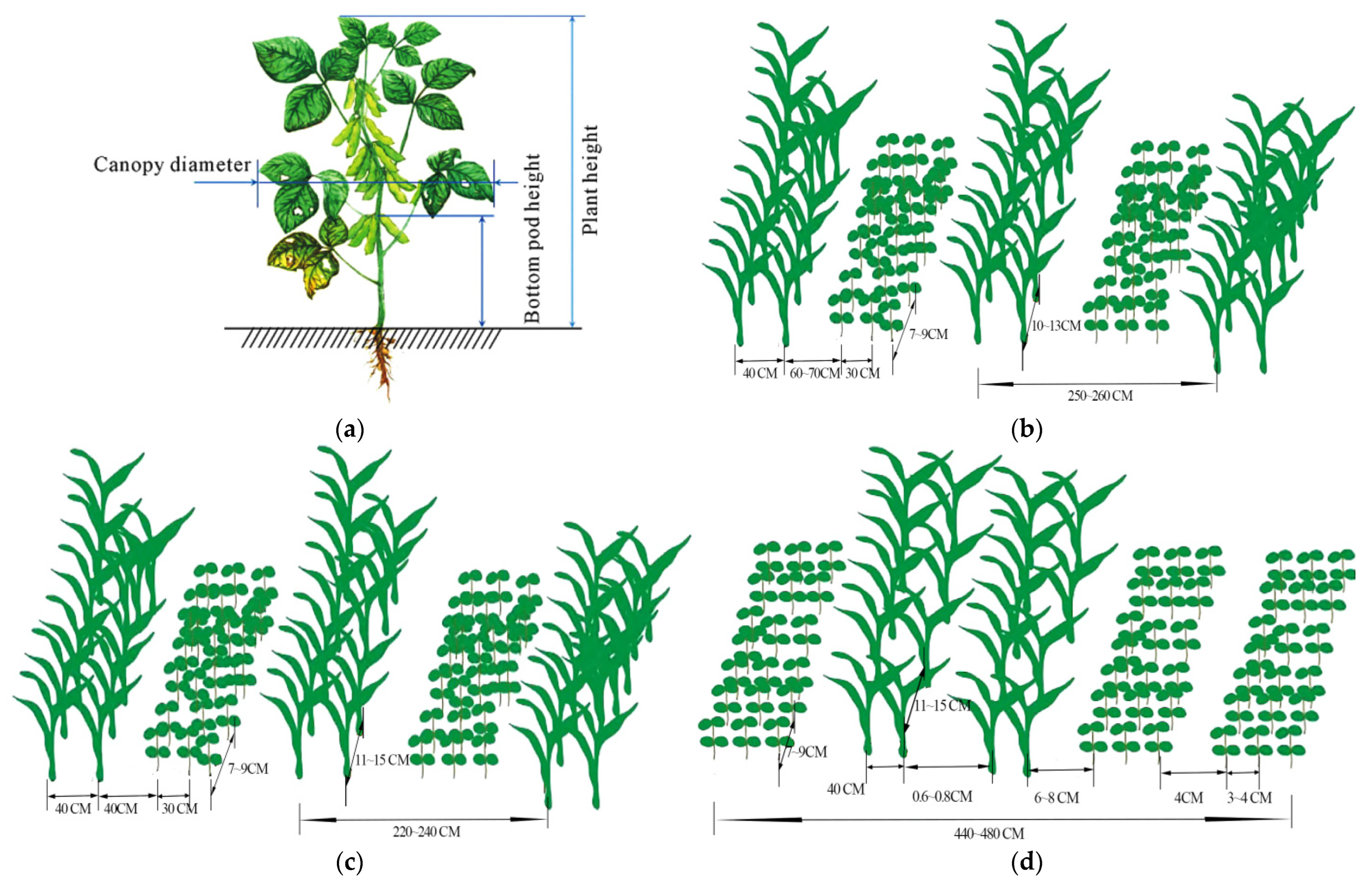 Sensors 25 06695 g002
