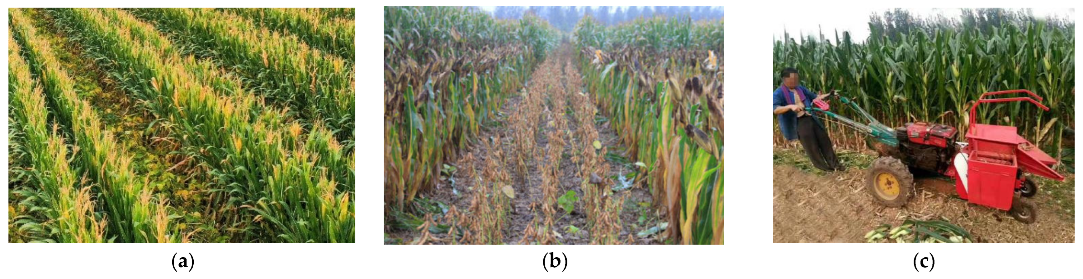 Sensors 25 06695 g003