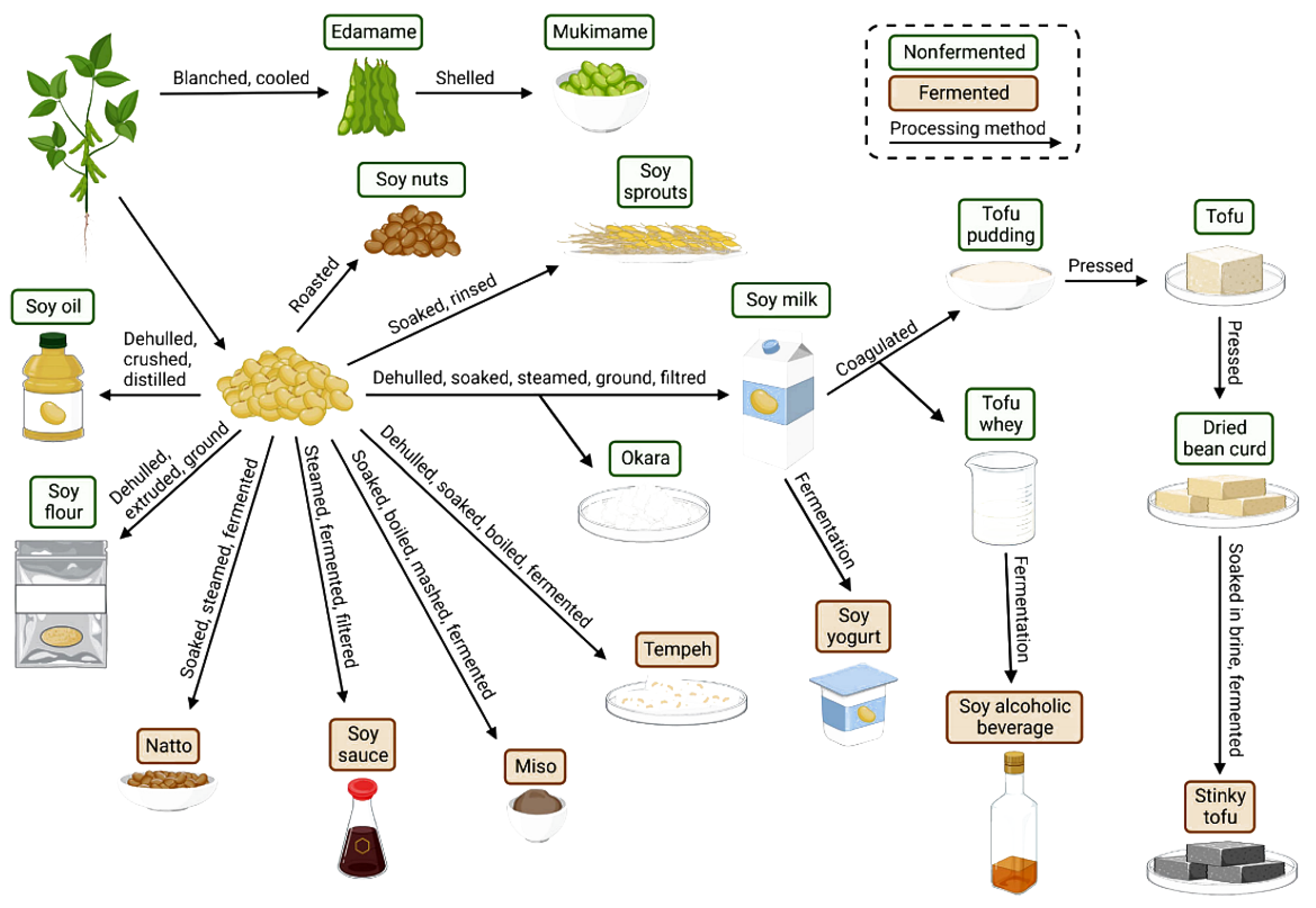 Sensors 25 06695 g004