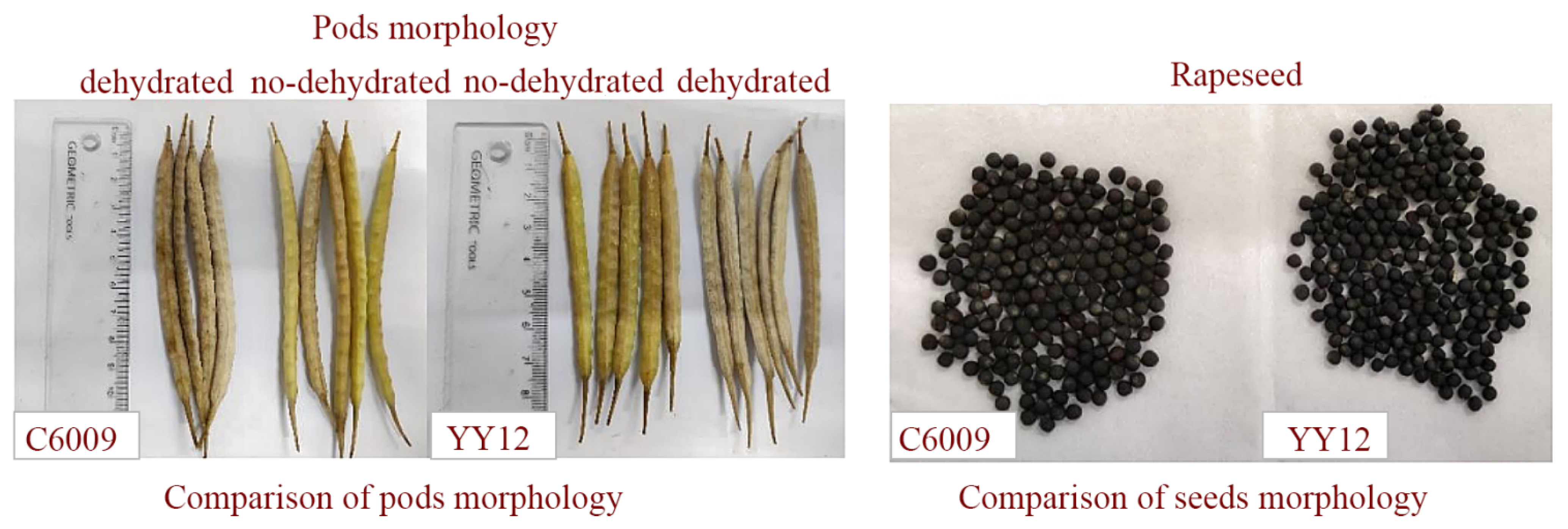 Sensors 25 06695 g007