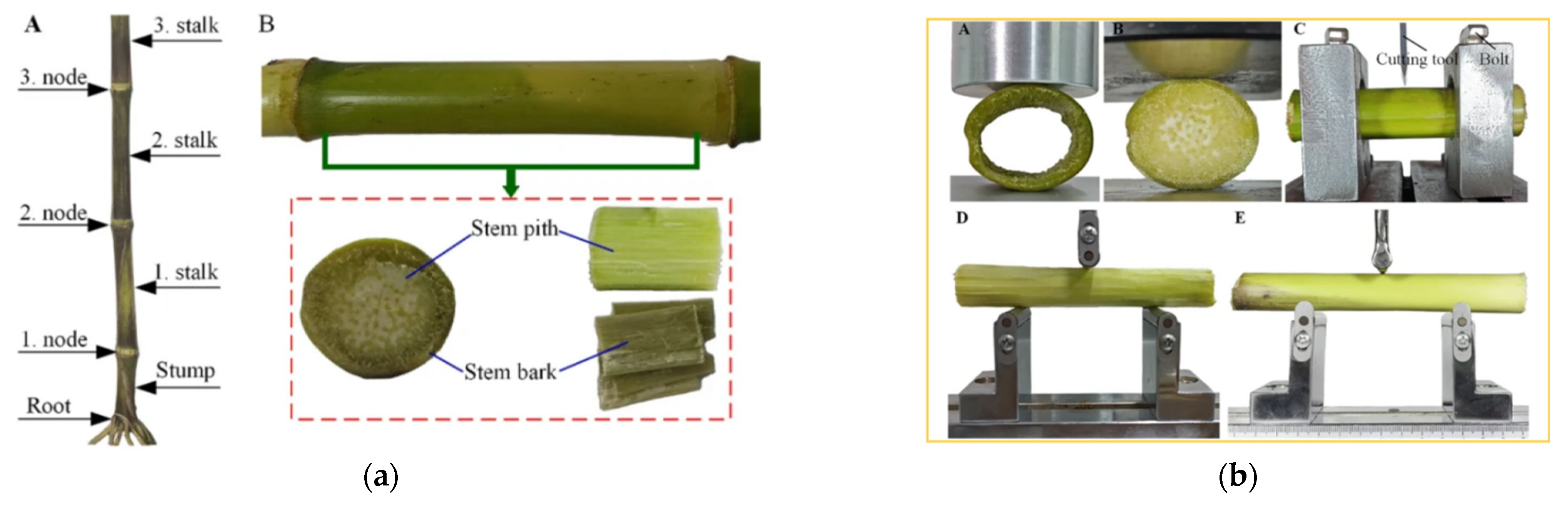 Sensors 25 06695 g010