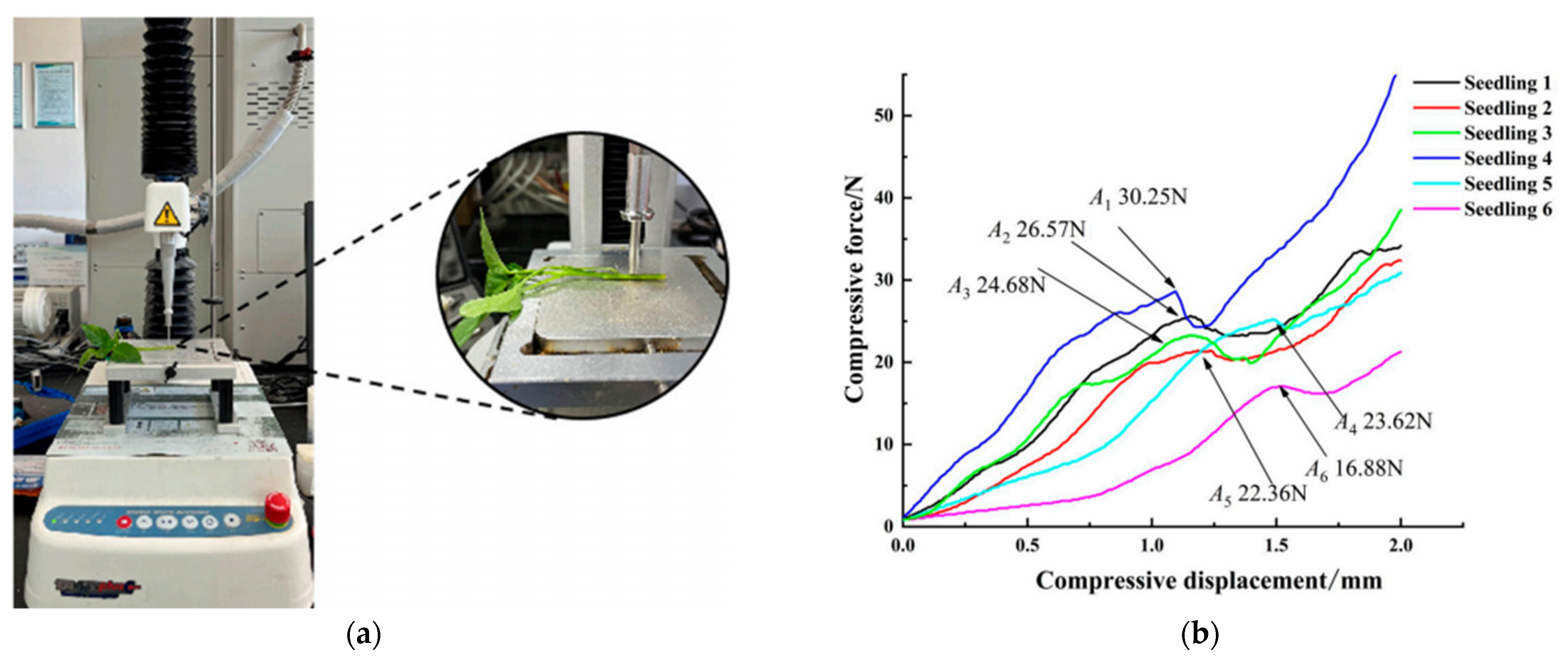 Sensors 25 06695 g011